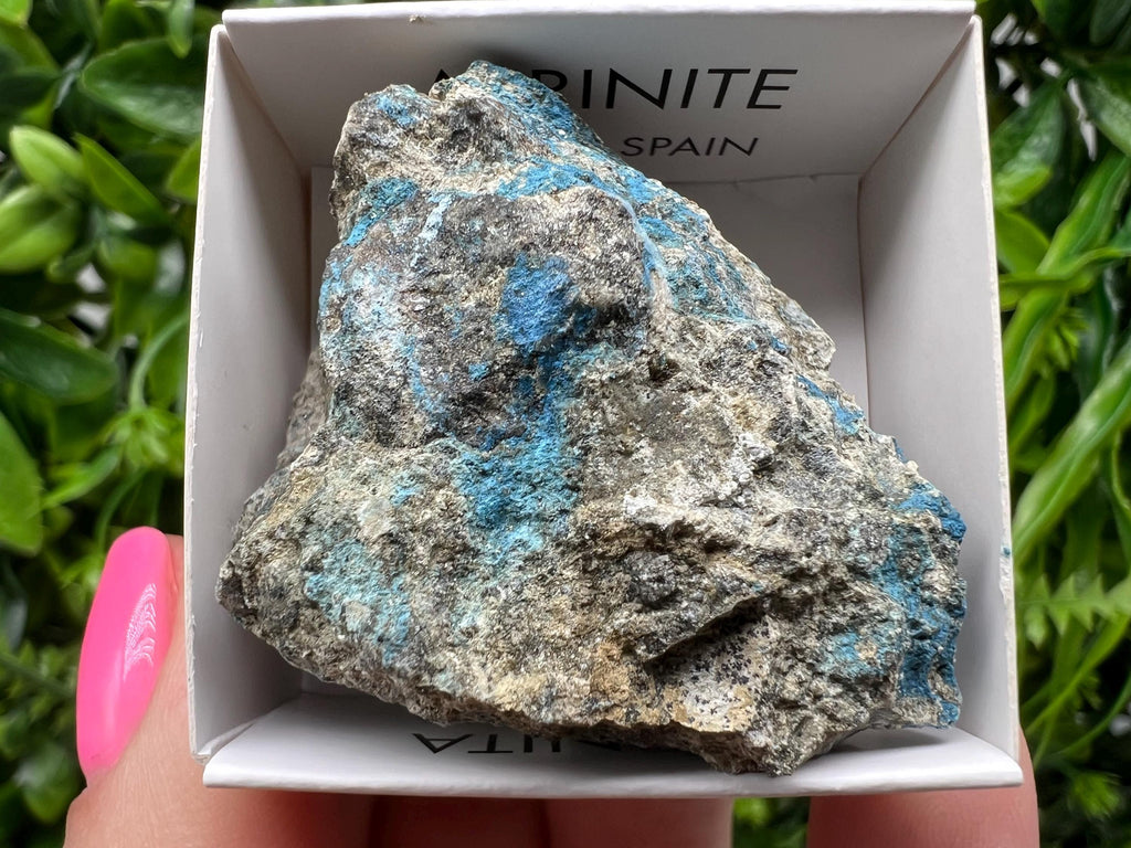 Rare Raw Aerinite Mineral Specimen: Lleida, Spain Collection Crystal