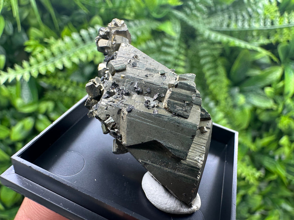 Shiny Pyrite Crystal Cluster, Borieva Mine, Bulgaria