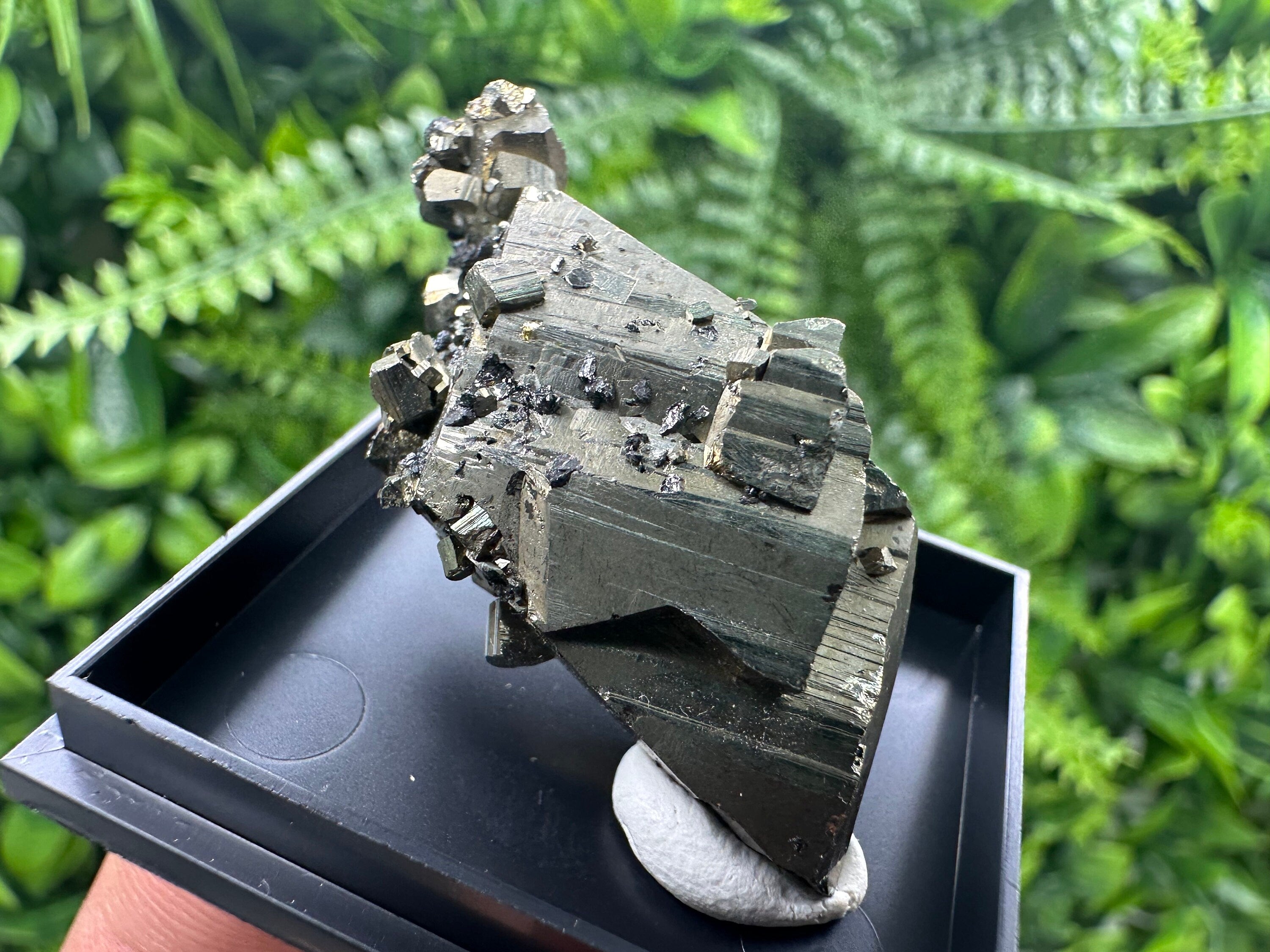 Shiny Pyrite Crystal Cluster, Borieva Mine, Bulgaria