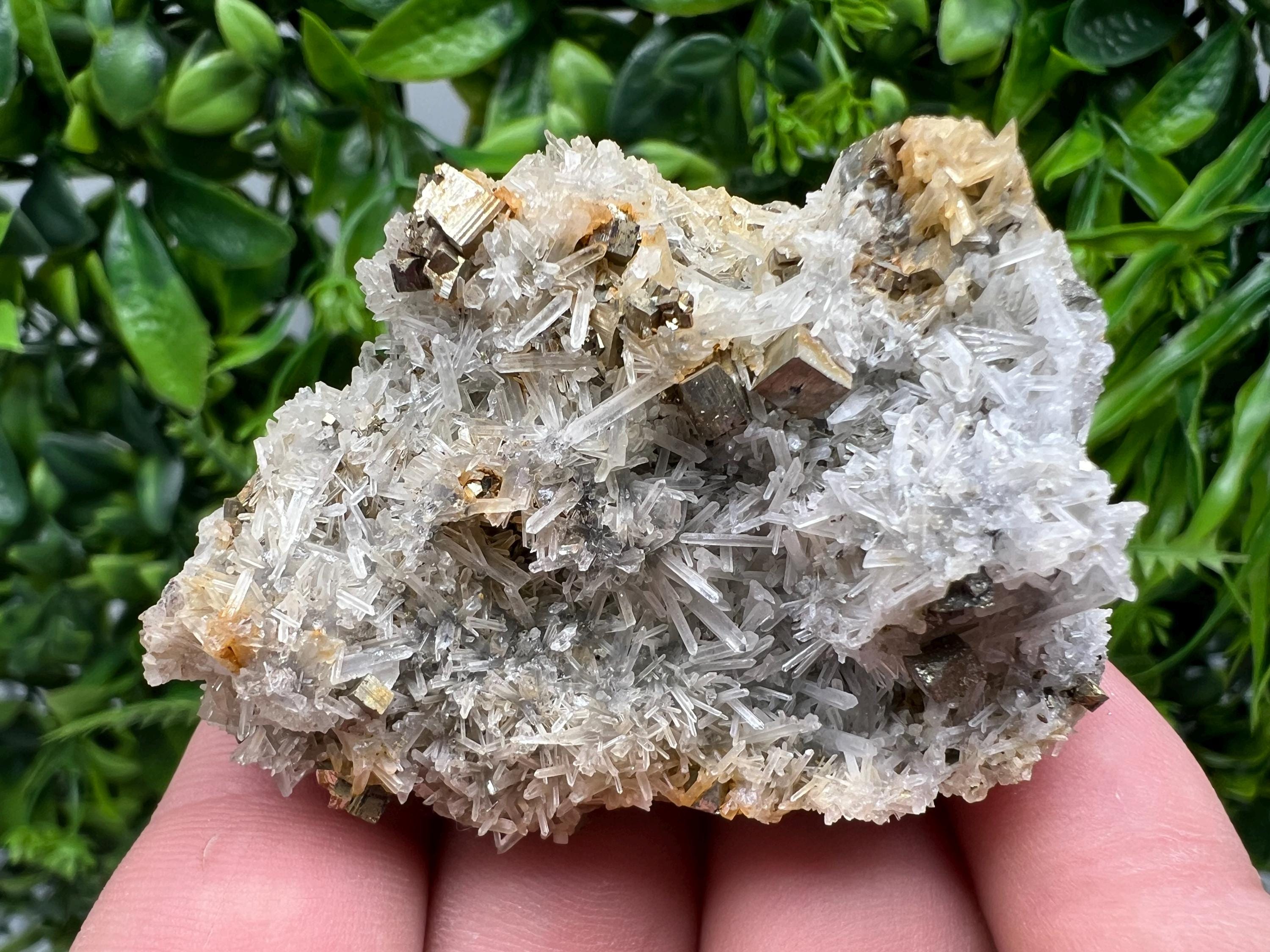 Rainbow Pyrite on Quartz with Oxide, Natural Minerals, Bulgaria