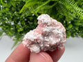 RARE Rhodochrosite whit white Calcite,pink mineral,Starnica Mine,Davidcovo,Bulgaria natural mineral,souvenir crystal,home decor,collectible