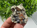 Chalcopyrite on Sphalerite, Madan Bulgaria Mineral Specimen, Rare Crystal