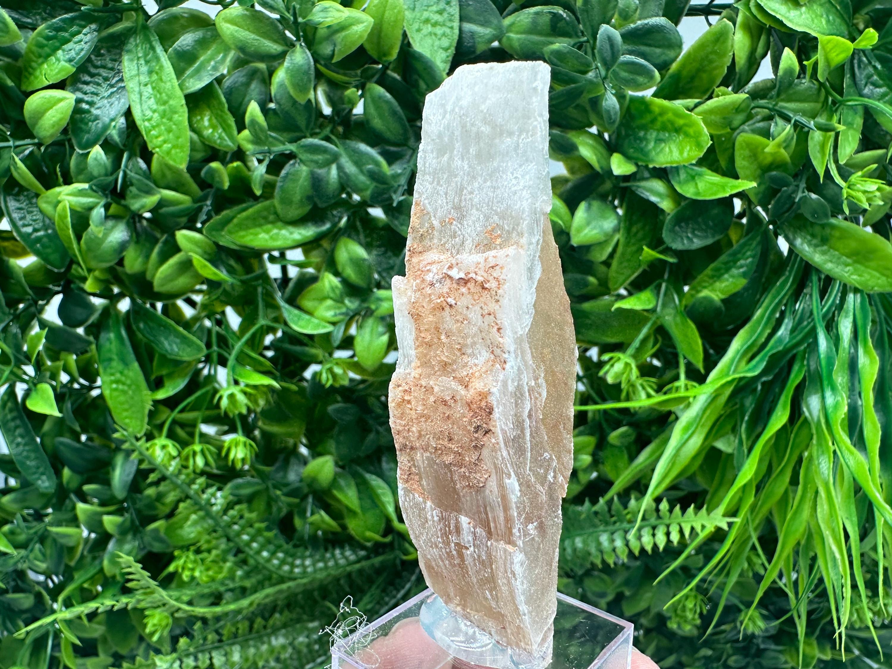 Golden Phantom Selenite Slab: Raw Utah Fishtail Selenite Wand