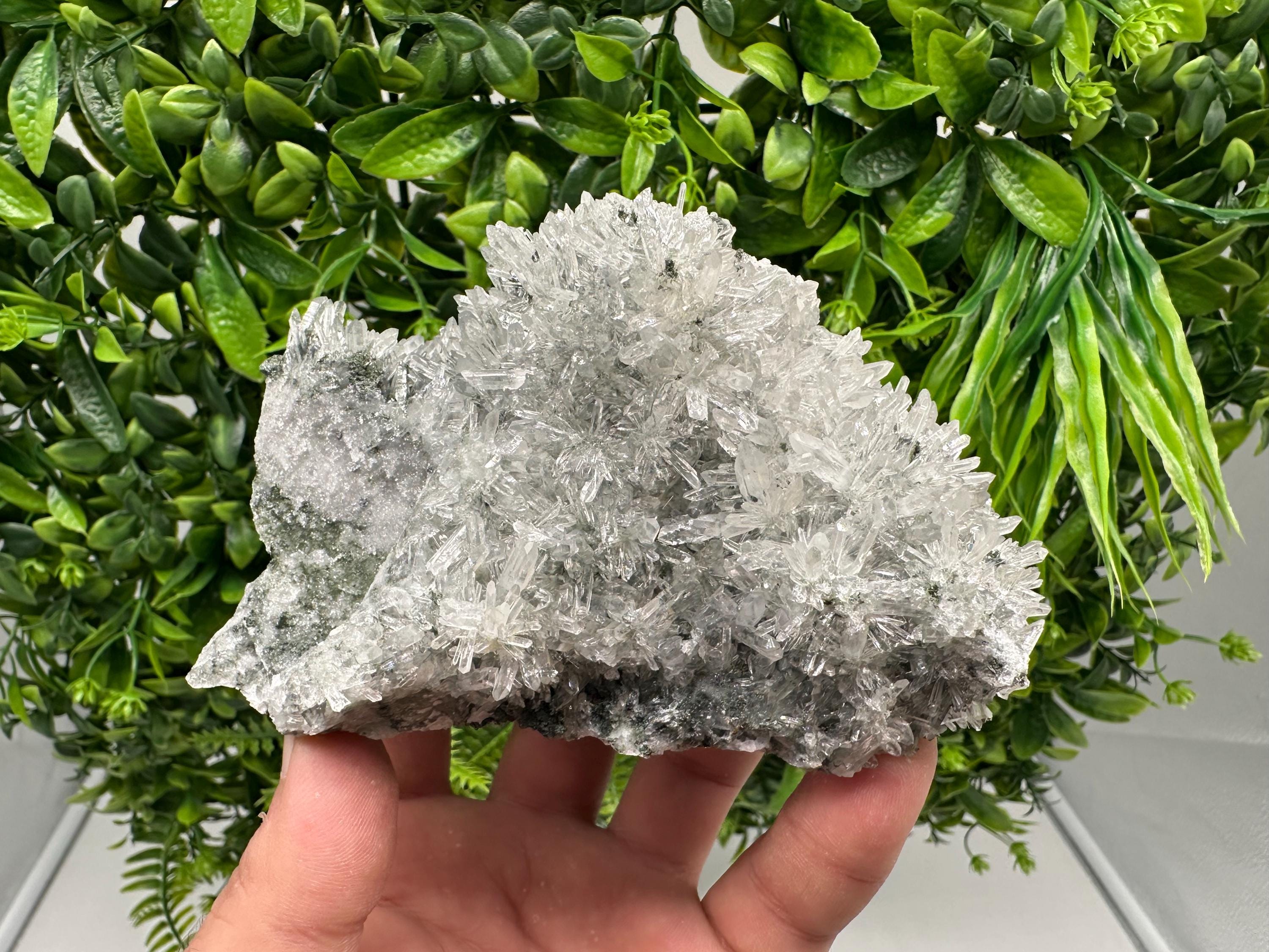 Transparent Quartz on Chlorite Matrix, Borieva Mine, Bulgaria