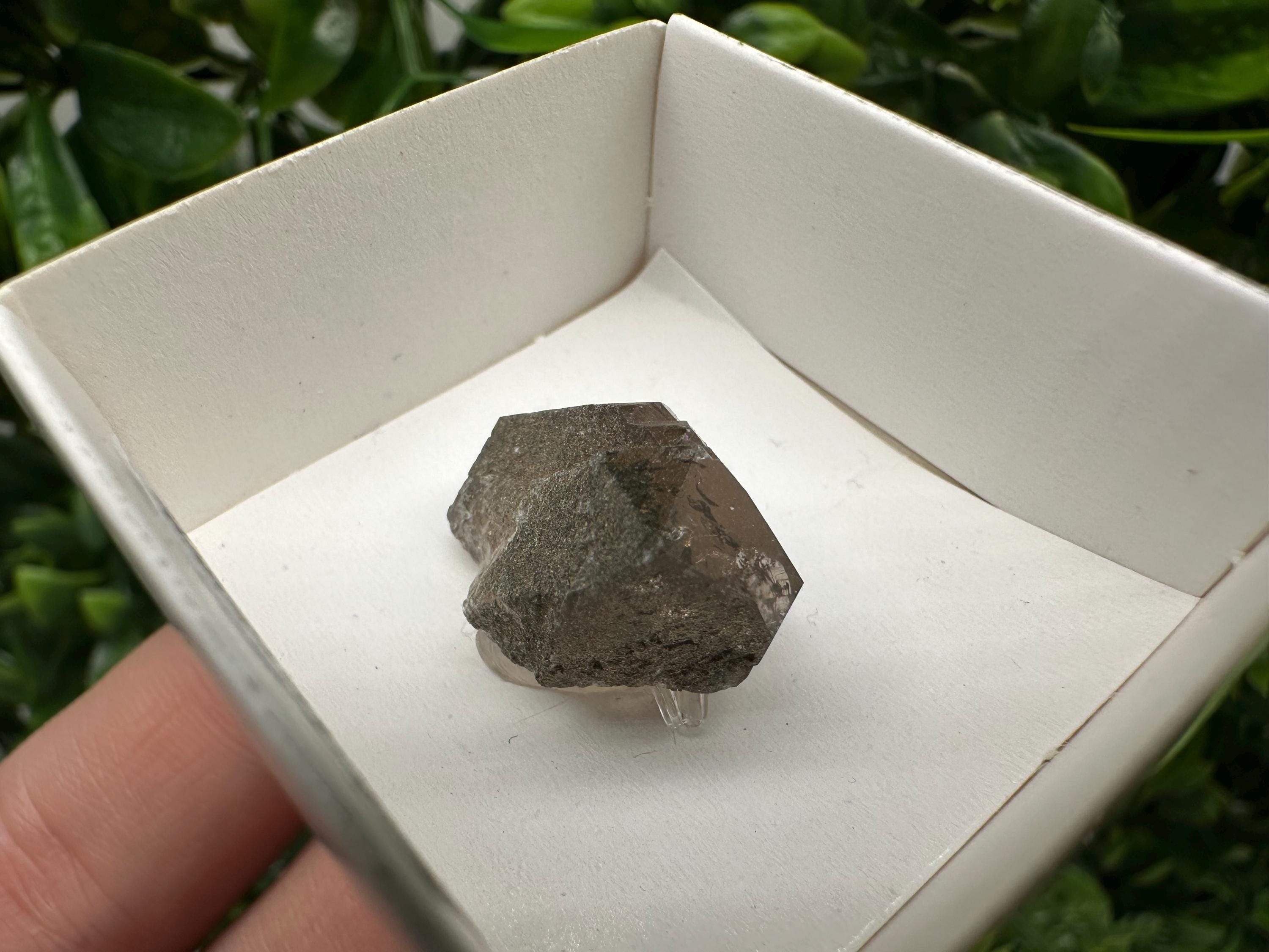 Rare Fedenstock Smoky Quartz Point, Swiss Mineral Specimen (25MM)