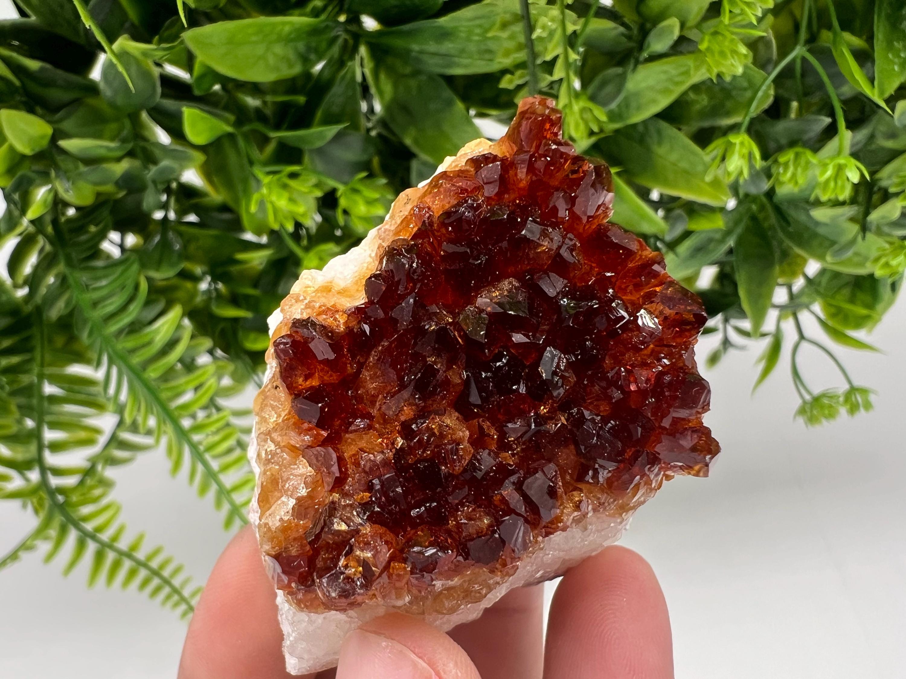Brazilian Citrine Crystal Cluster with Hematite