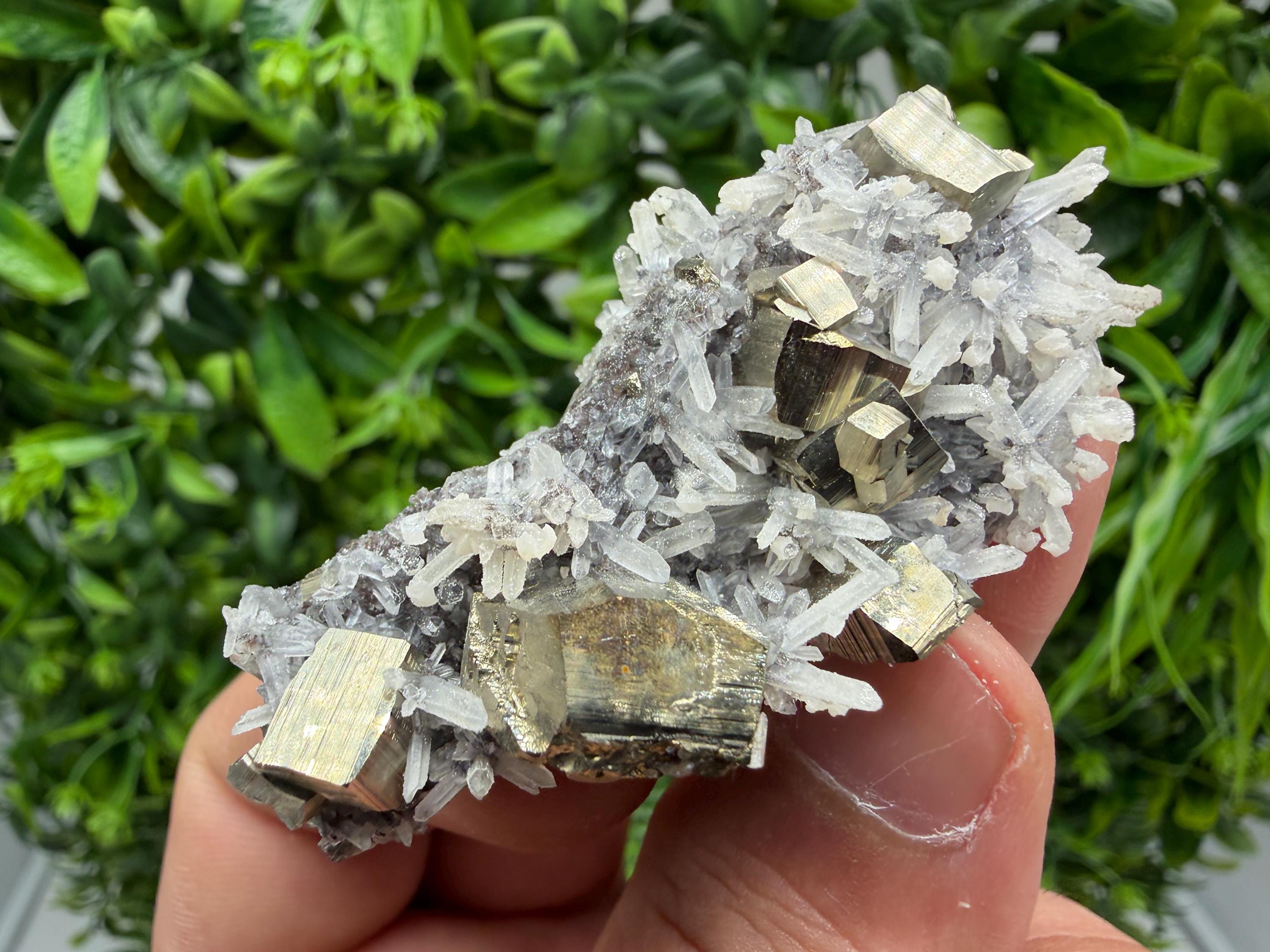 Pyrite Sphalerite Quartz  Mineral Specimen, Krushev dol Mine
