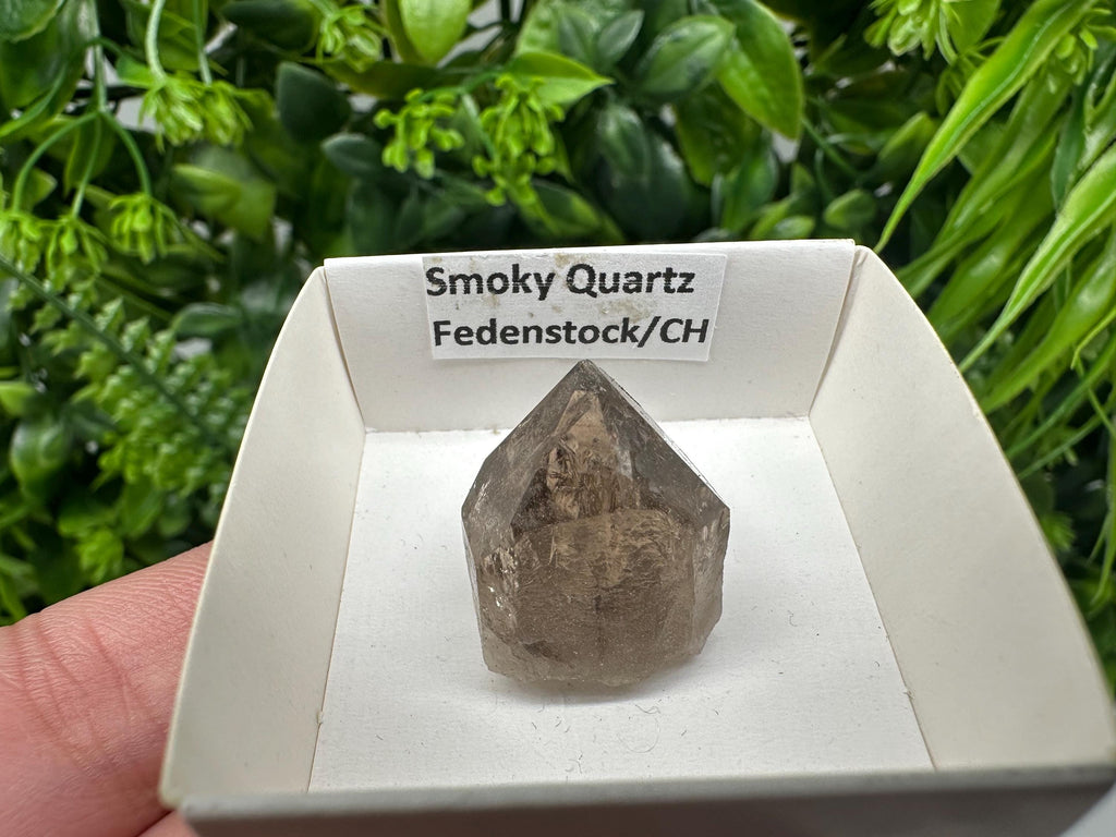 Rare Fedenstock Smoky Quartz, Swiss Mineral Specimen (20/20MM)