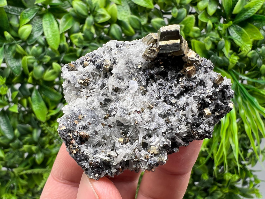 Rainbow Pyrite on Quartz, Oxide Mineral Specimen, Bulgaria