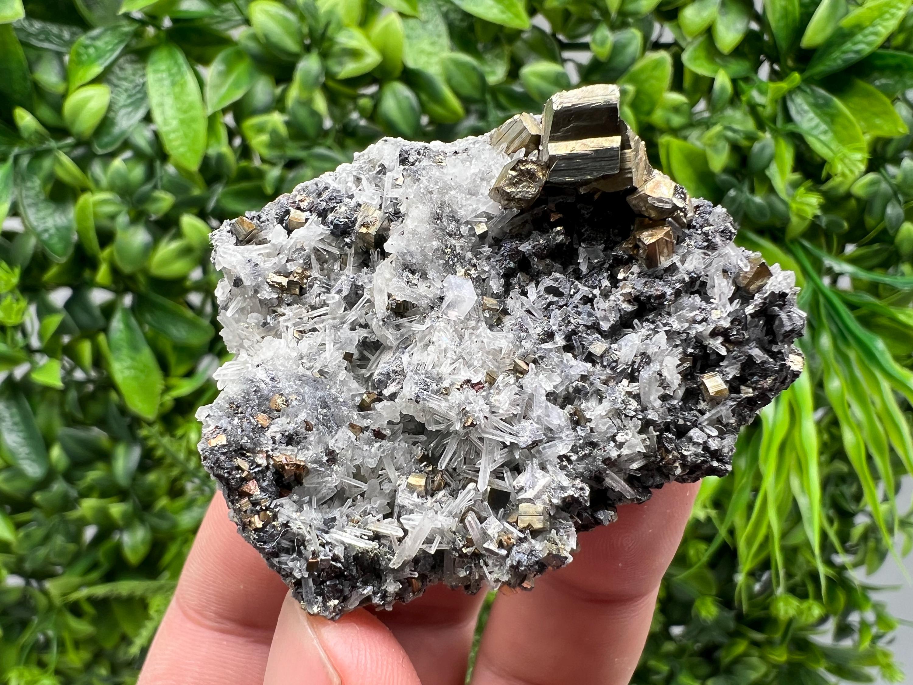 Rainbow Pyrite on Quartz, Oxide Mineral Specimen, Bulgaria