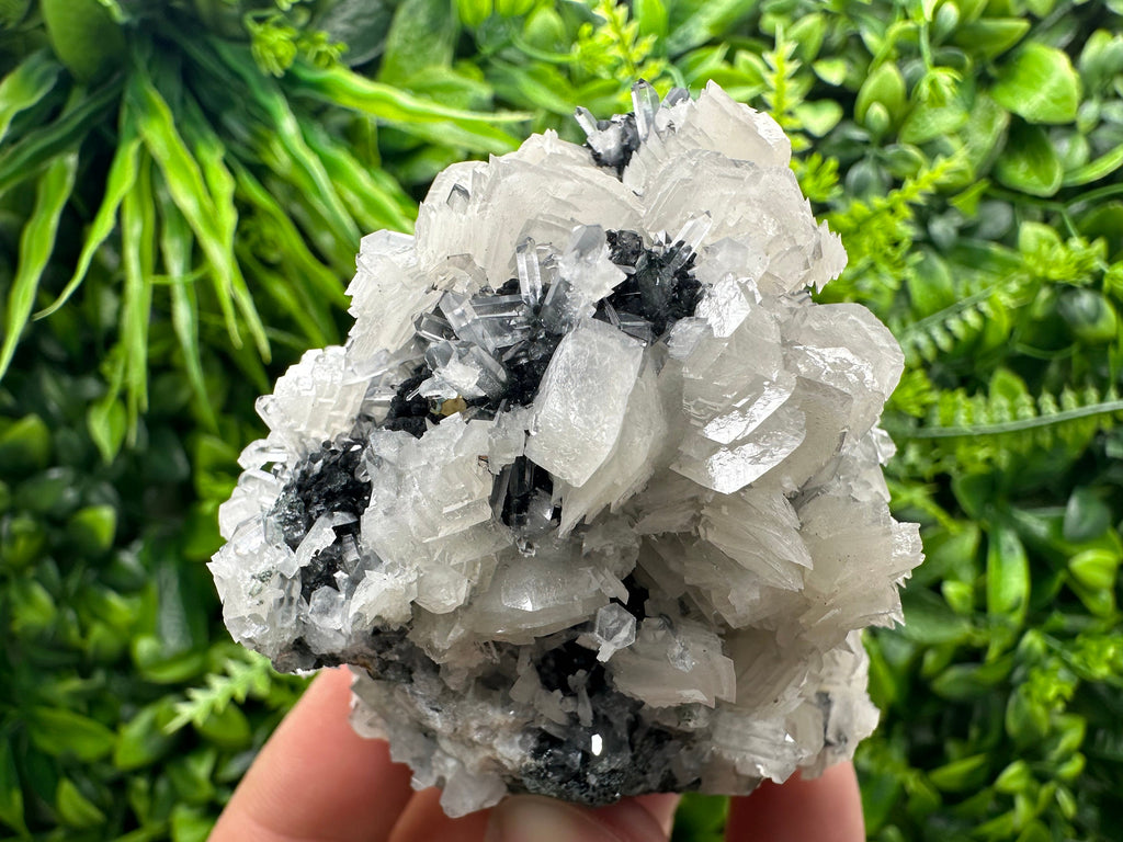 UV Fluorescence Calcite on Sphalerite, Quartz, Borieva Mine Crystal