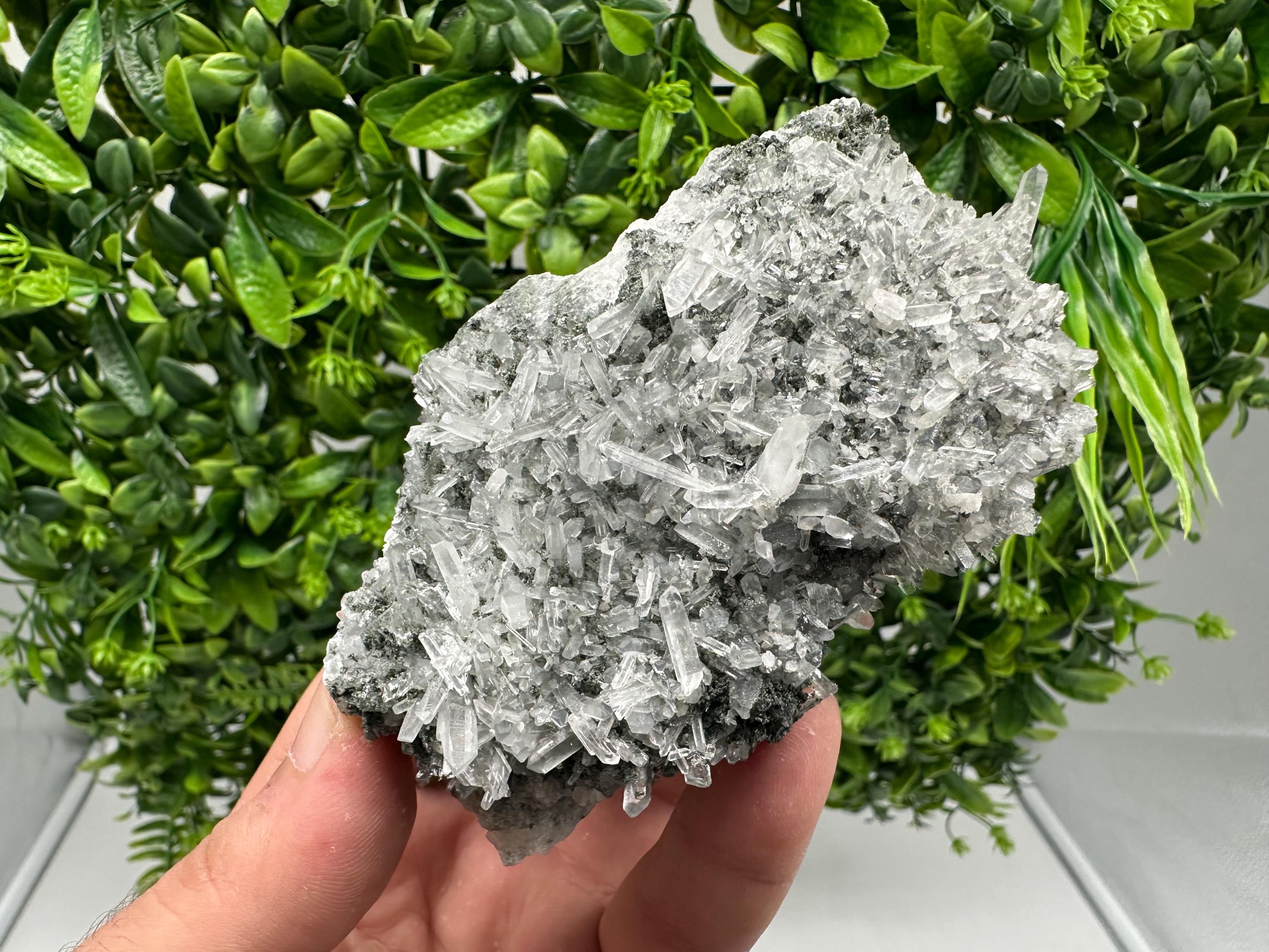 Wonderful Transparent Quartz on Chlorite Matrix,From Borieva mine,Madan,Bulgaria,Quartz,Quartz crystal,mineral specimen,collection quartz