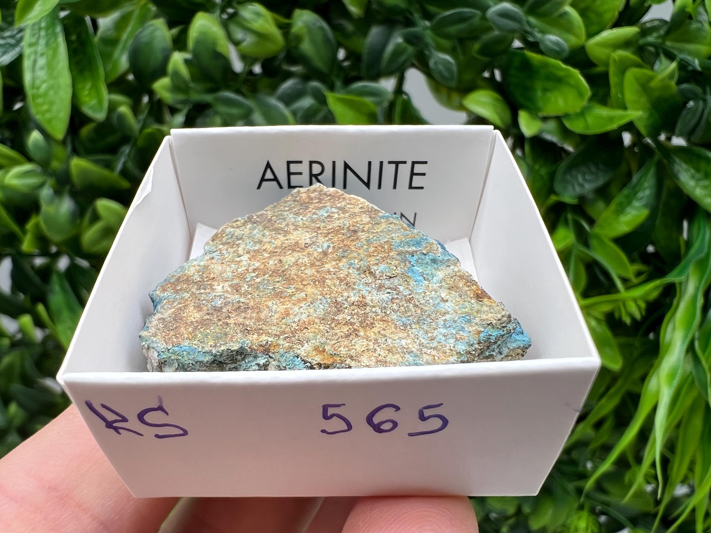Rare Raw Aerinite Mineral Specimen: Collection Crystal from Lleida, Spain (3.5/3.5 CM)