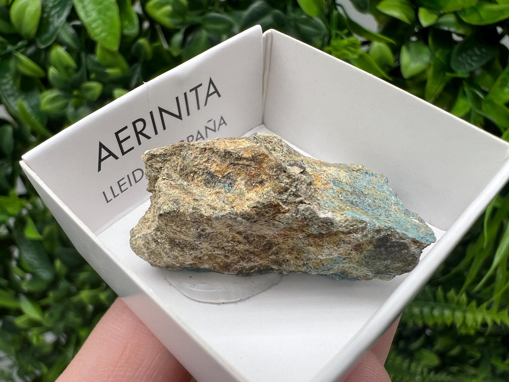 Rare Raw Aerinite Mineral Specimen: Lleida Spain Crystal, 4/2.5cm