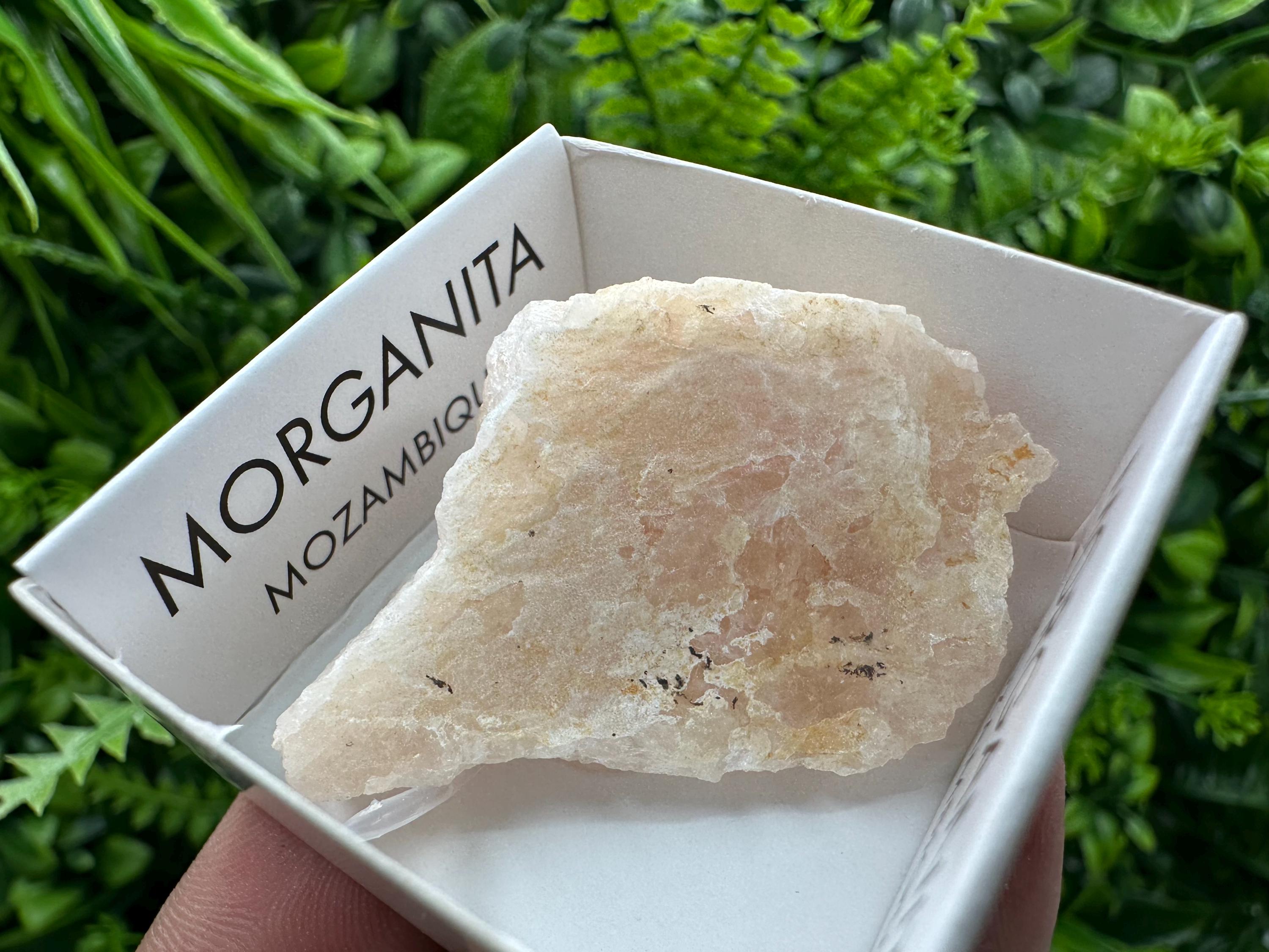 Rare Raw Morganite Specimen: Mozambique Crystal Collection (5/2.5 cm)