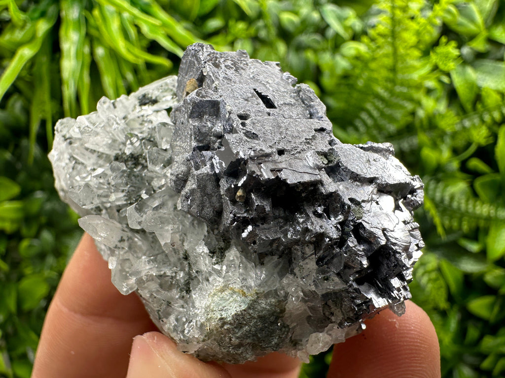 Quartz and Galena Mineral Specimen: Borieva Mine, Bulgaria