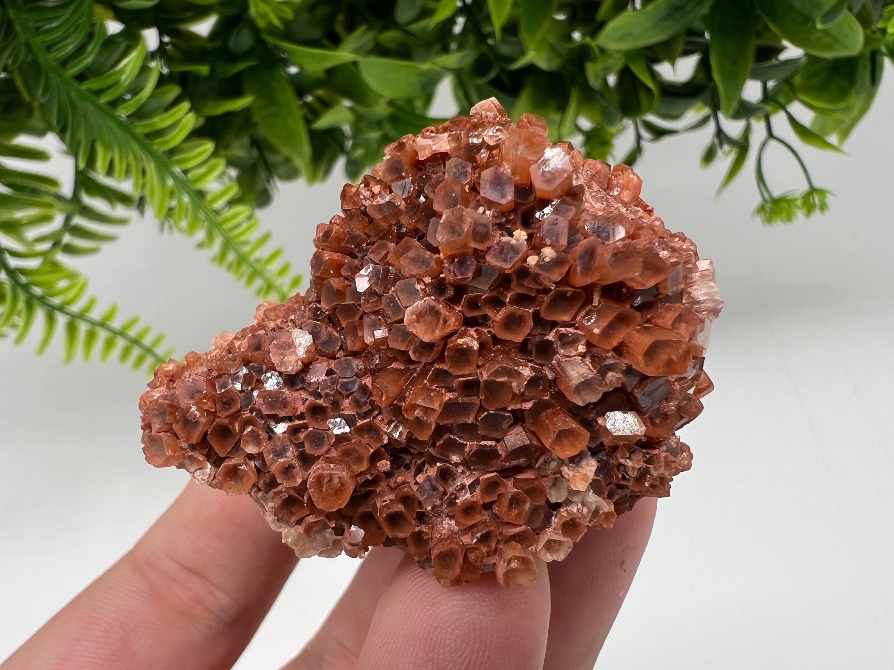 Extra Large Aragonite Sputnik Cluster: Moroccan Raw Crystal Stone