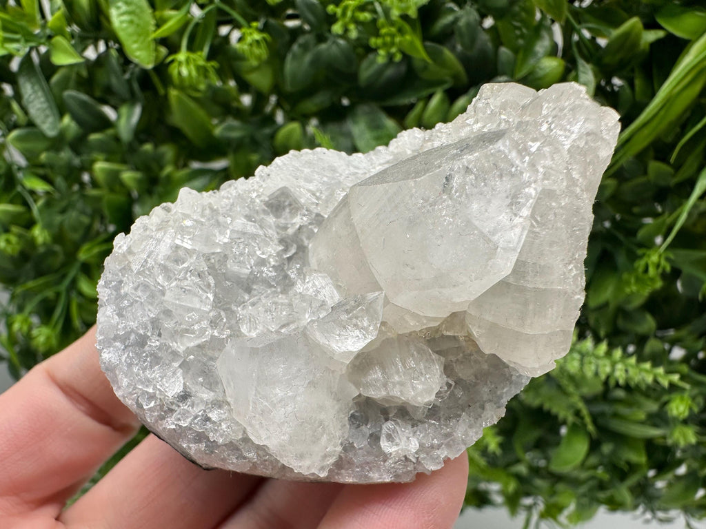 Apophyllite on Chalcedony Specimen: Transparent Crystal, India Minerals