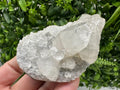 Apophyllite on Chalcedony Specimen: Transparent Crystal, India Minerals