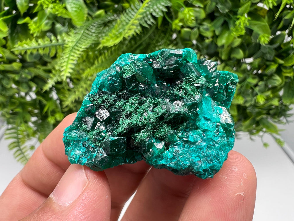 Stunning Green Dioptase from Sanda Hills,Mindouli,Pool Department,Mindouli District,Congo,green Dioptase,Dioptas Crystal,Dioptase collecting