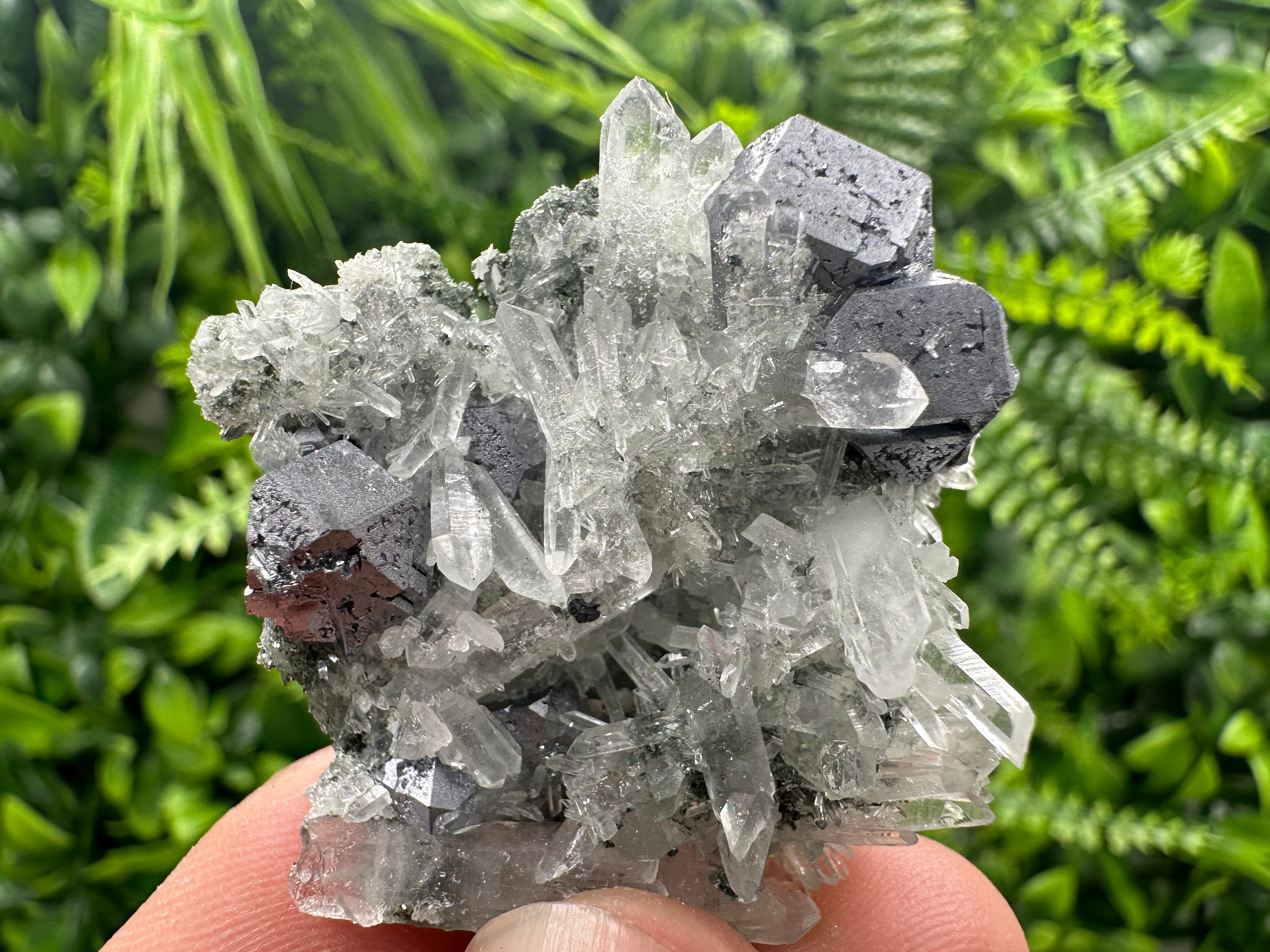 Galena on Green Quartz with Chlorite, Borieva Mine Mineral Specimen