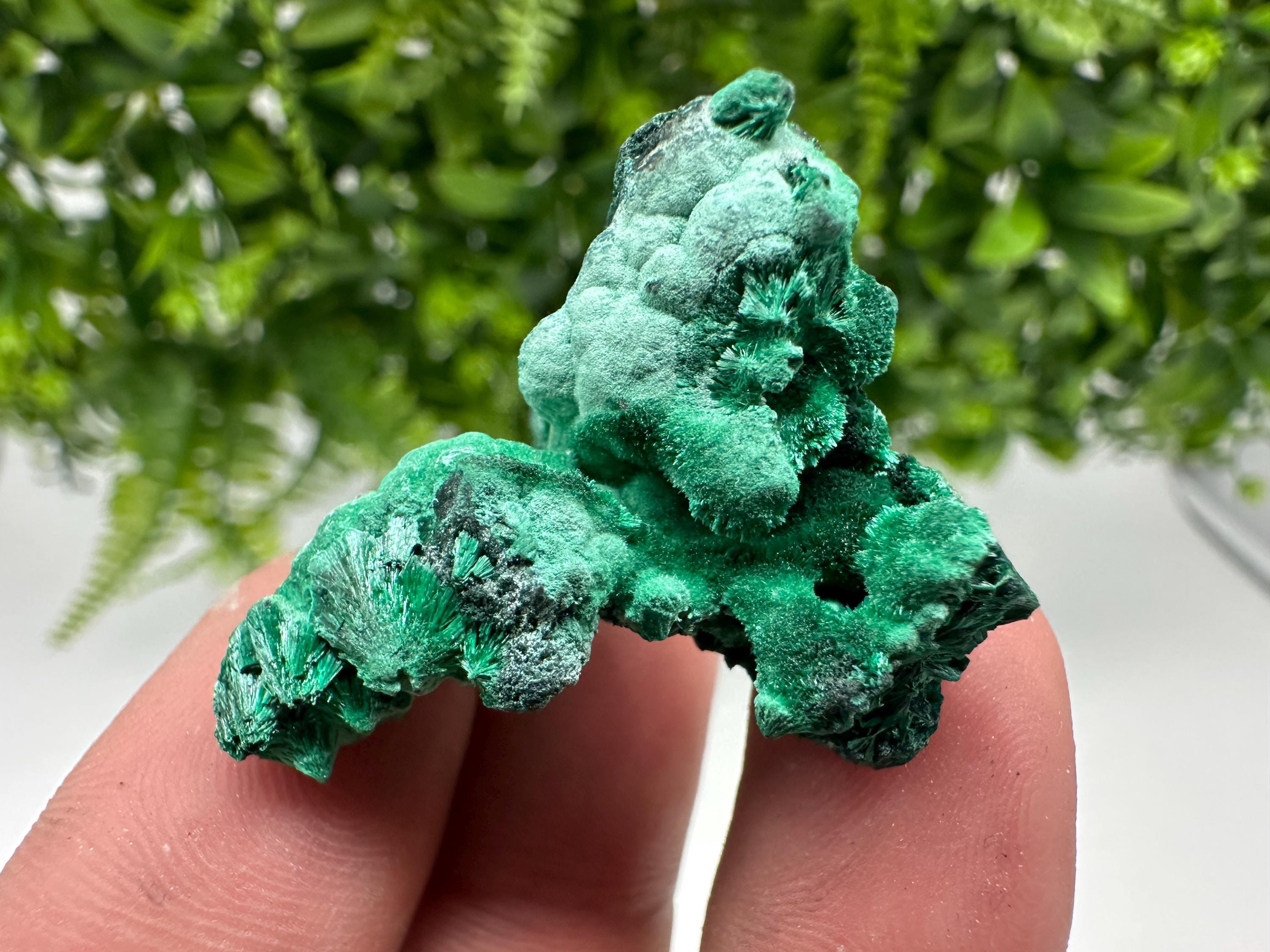 Malachite Crystal from Congo,Minerals,Crystals from Congo,Green Malachite, Malachite,Natural Malachite,Malachite Stone,Chakra, Specimens