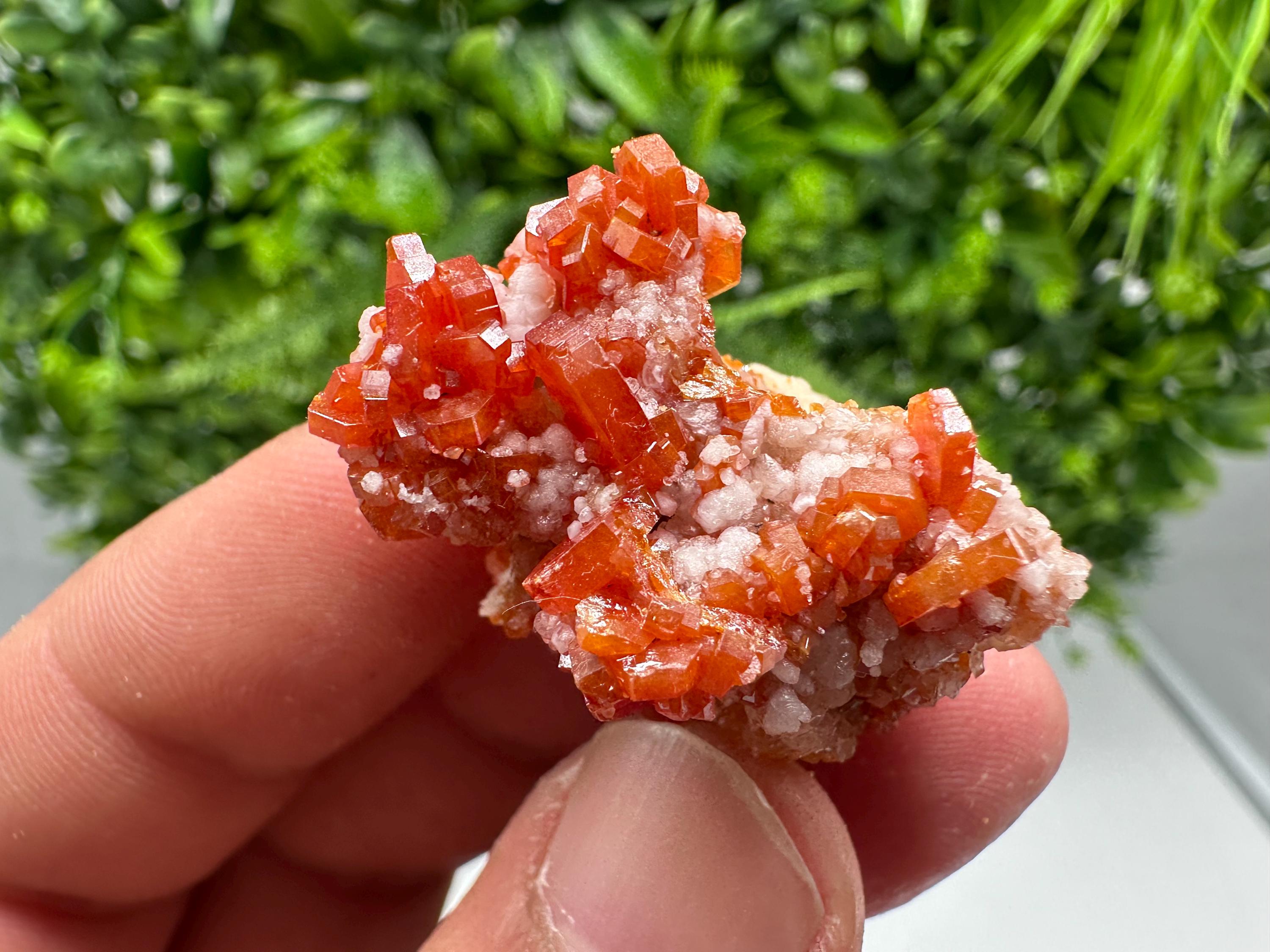 Red Vanadinite on Barite from Marocco,crystal minerals Speciment cluster Vanadinite crystal Vanadinite Geology Vanadinite cluster minerals