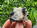 Wonderful Sphalerite Chalcopyrite on  Quartz whit Galena feom 9 th September mine,Bulgaria,natural,collection mineral specimen,gift