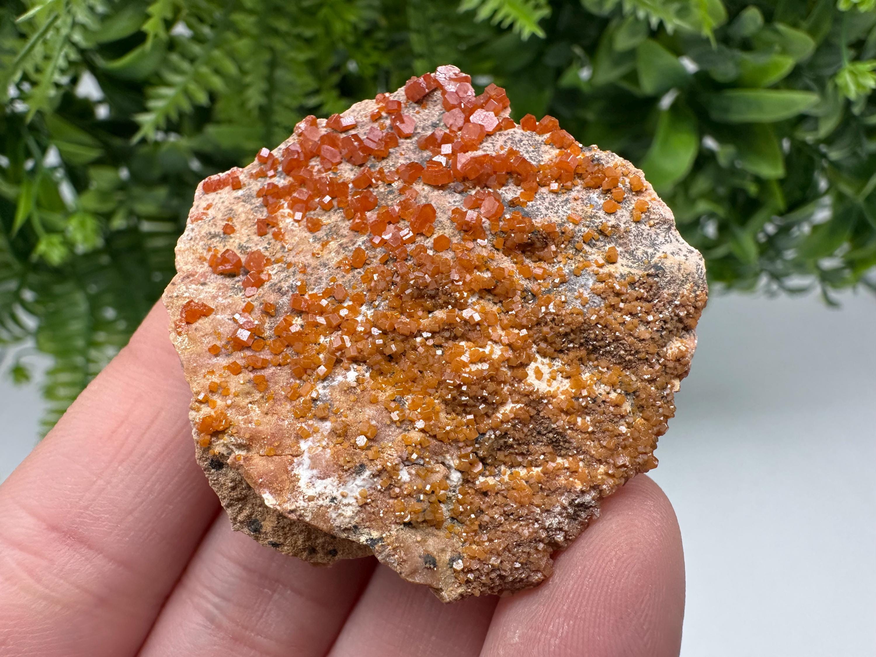 Red Vanadinite on Matrix from Marocco,crystal minerals Speciment cluster Vanadinite crystal Vanadinite Geology Vanadinite cluster minerals