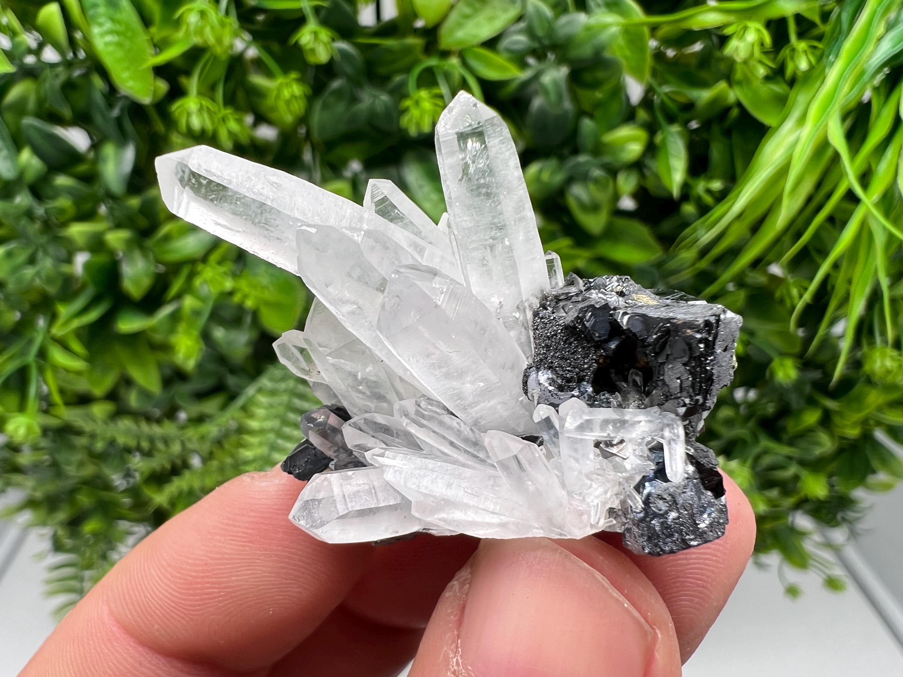 Aesthetic Natural shiny Galena whit Siderite and Quartz from 9 th September mine,Bulgaria,collection specimen,rare galena,Galena cluster