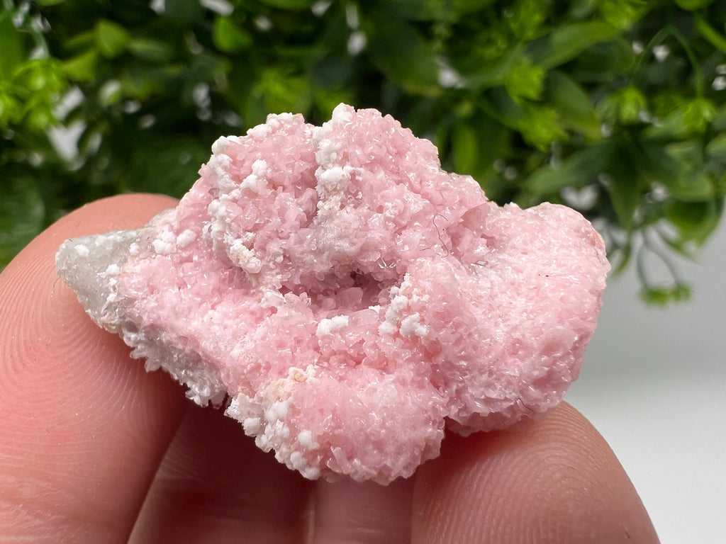 RARE Rhodochrosite whit white Calcite,pink mineral,Starnica Mine,Davidcovo,Bulgaria natural mineral,souvenir crystal,home decor,collectible