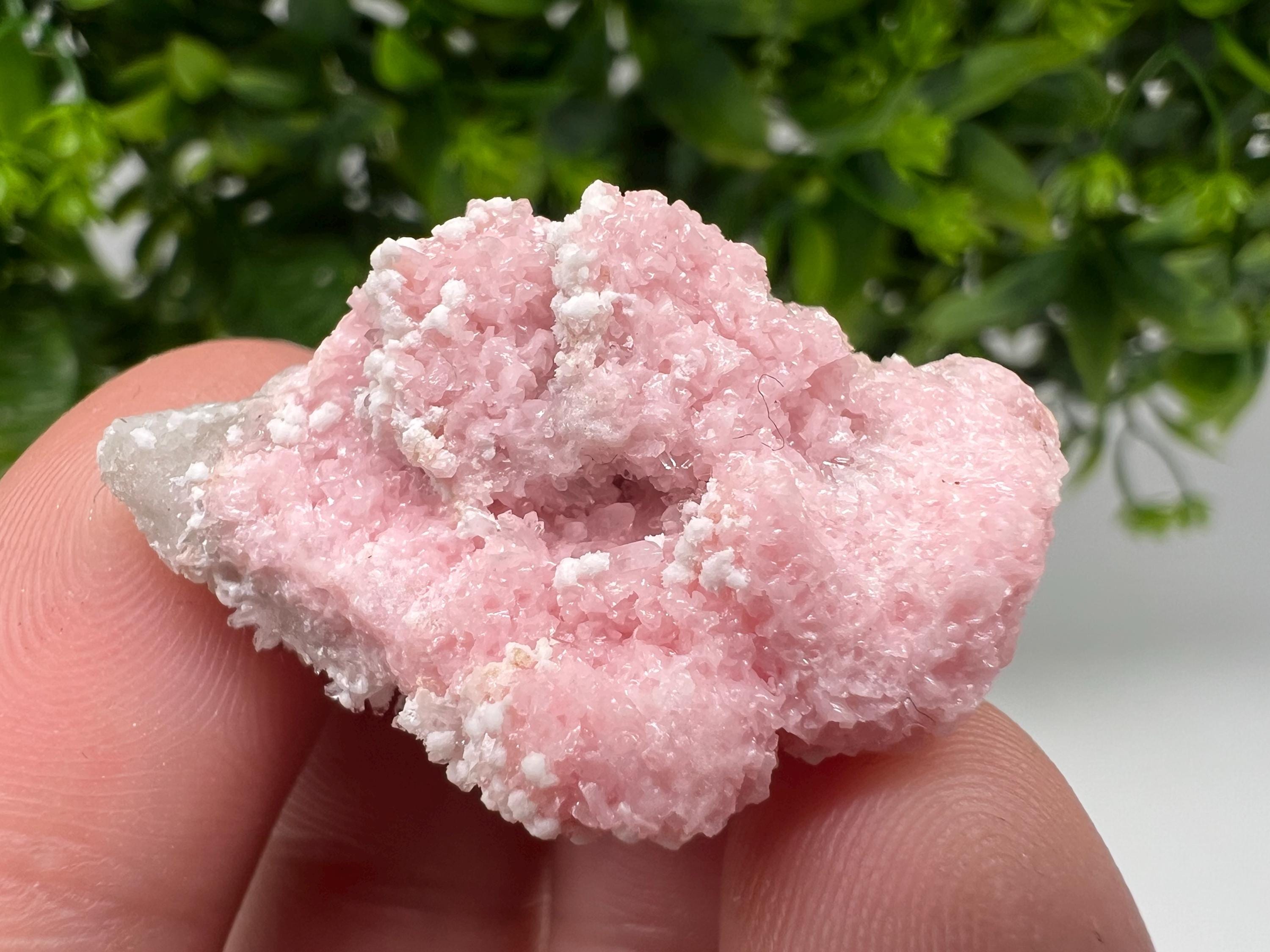 RARE Rhodochrosite whit white Calcite,pink mineral,Starnica Mine,Davidcovo,Bulgaria natural mineral,souvenir crystal,home decor,collectible