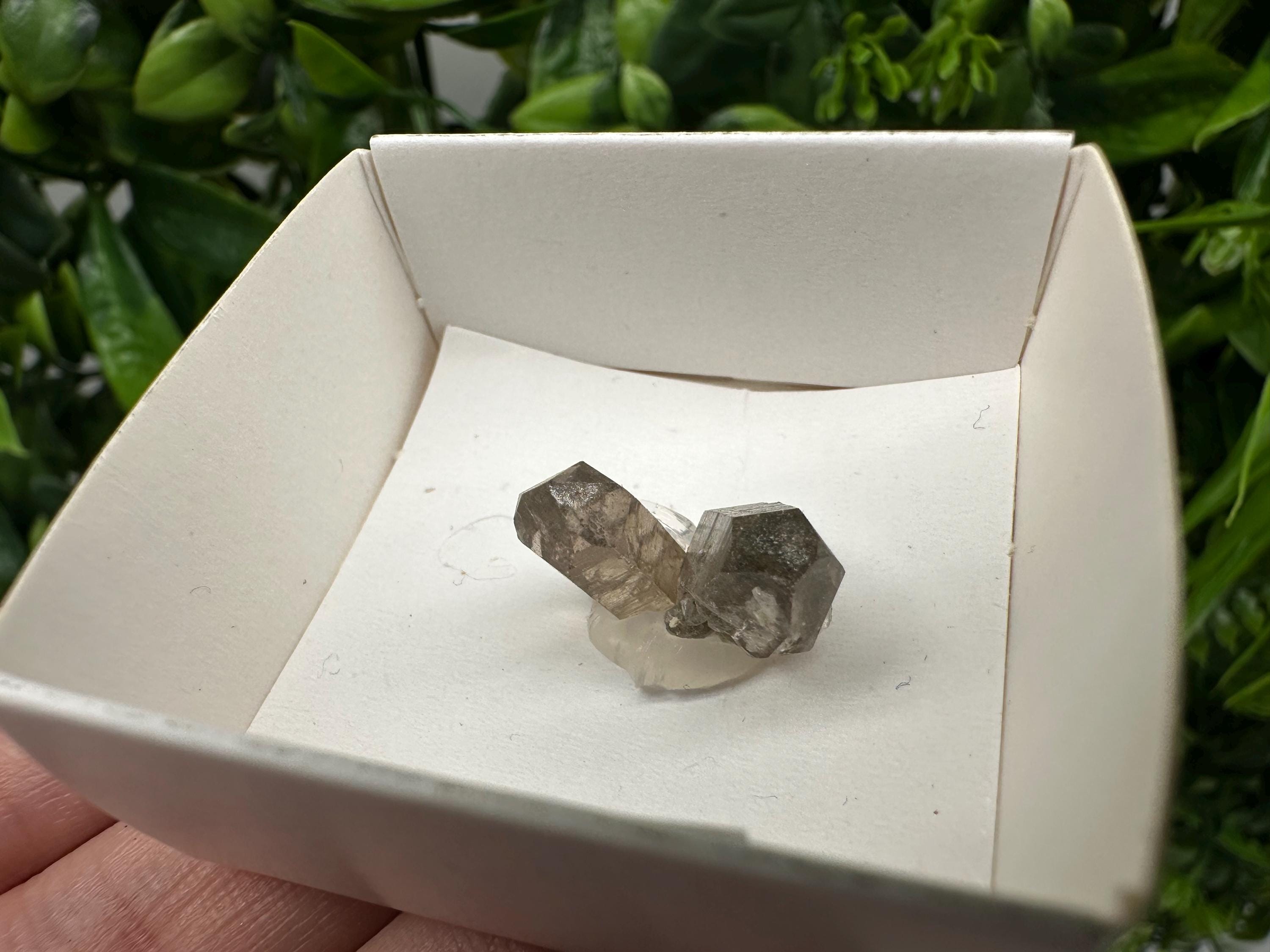 Rare Fedenstock Smoky Quartz Mineral Specimen (17 MM)