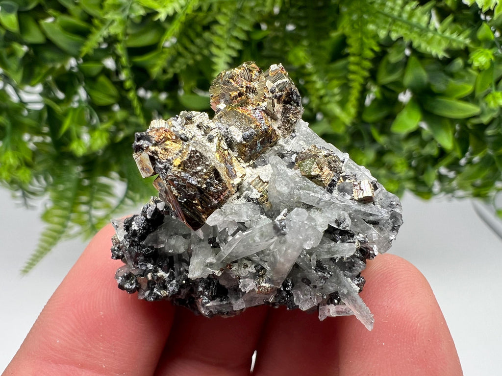 Wonderful Quartz whit Pyrite natural minerals crystal souvenir stone,collection minerals specimen,gift,home decor crystal,Borieva mine,