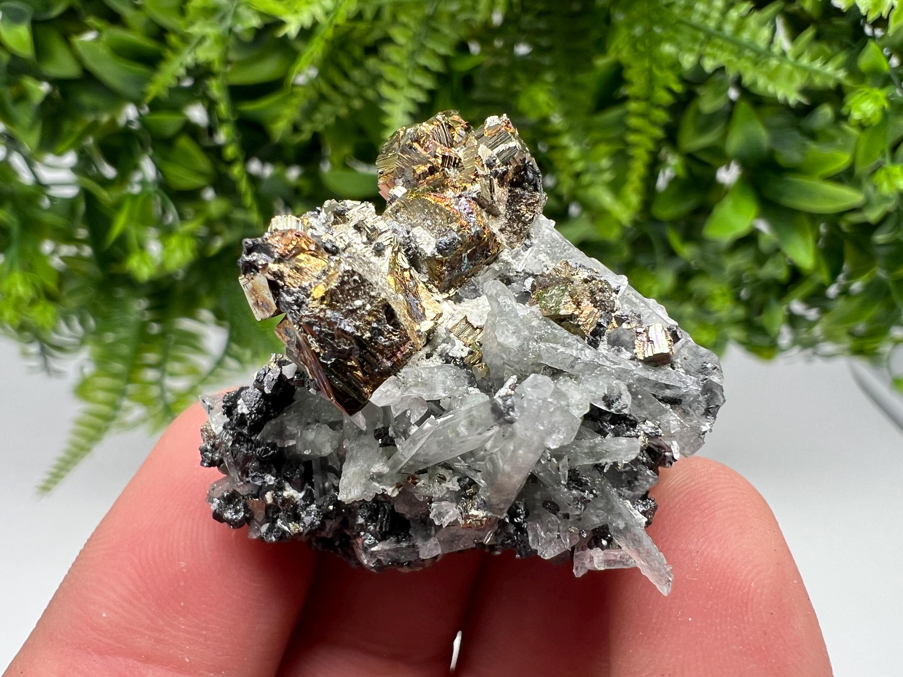 Wonderful Quartz whit Pyrite natural minerals crystal souvenir stone,collection minerals specimen,gift,home decor crystal,Borieva mine,