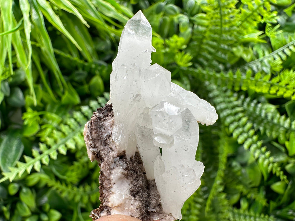 Quartz with Chlorite, Rhodochrosite and Siderite Mineral Specimen