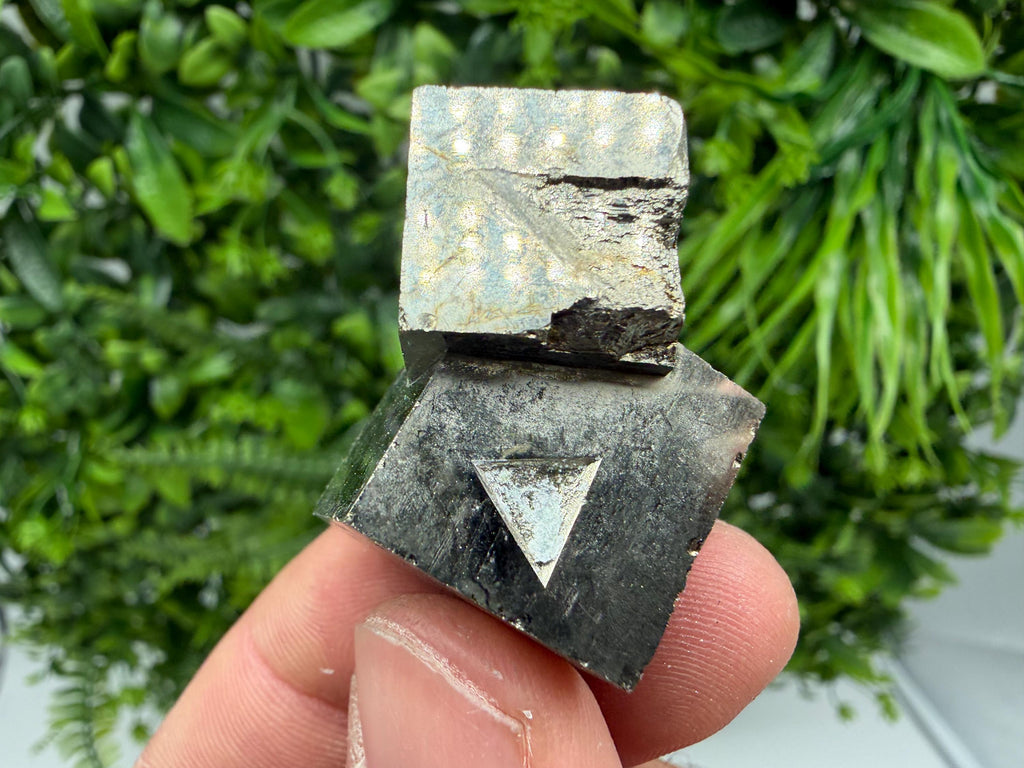 Interjoined Cube Pyrite, La Rioja Spain, Home Decor Stone