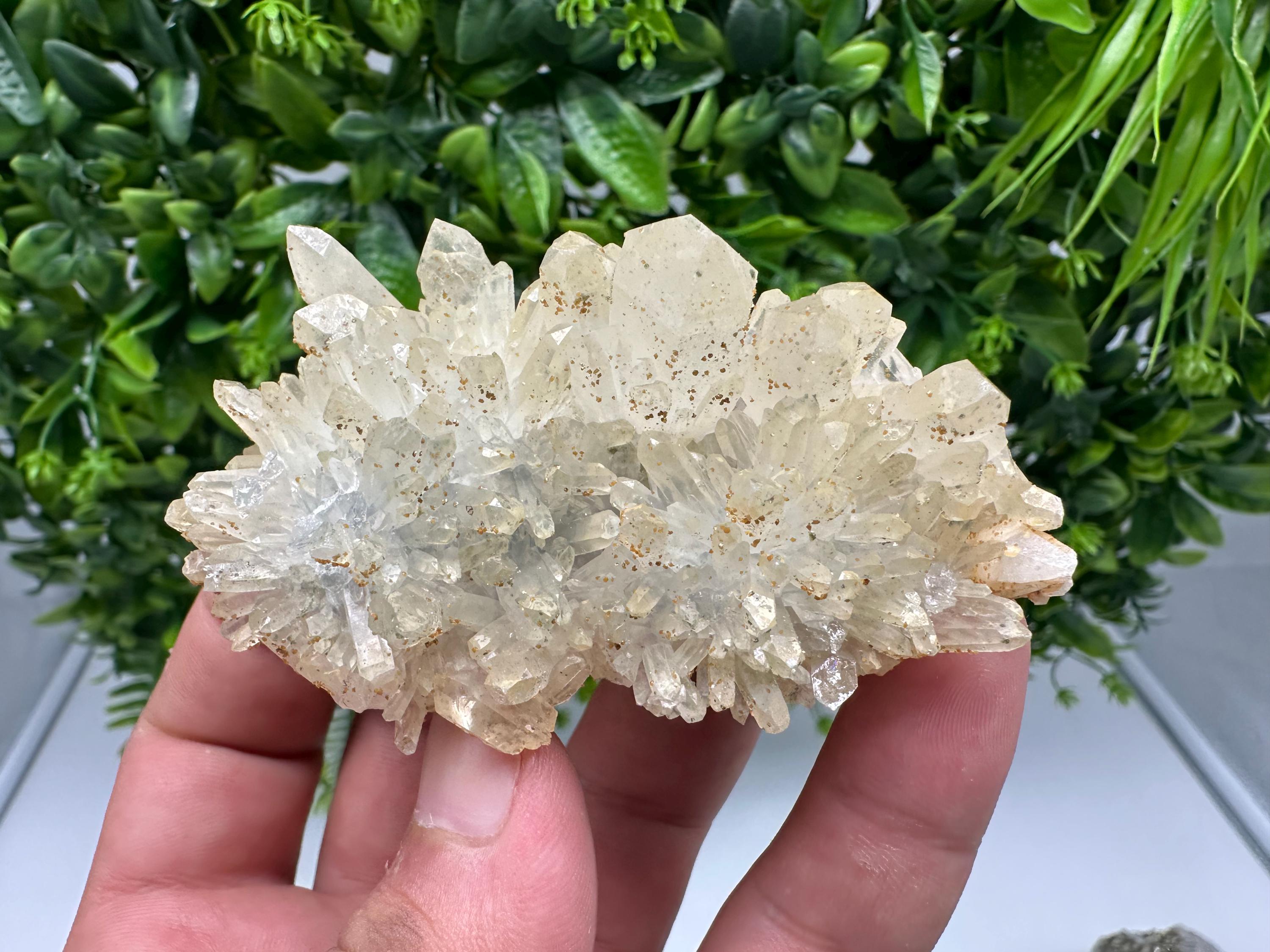 Quartz whit Brown Rhodochrosite from Djurcovo mine,Bulgaria,Quartz,Rhodochrosite cluster,natural mineral,collection crystal,mineral specimen