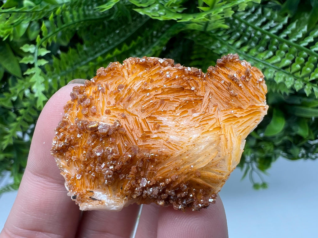 Red Vanadinite Crystal on Barite Matrix, Morocco Mineral Specimen