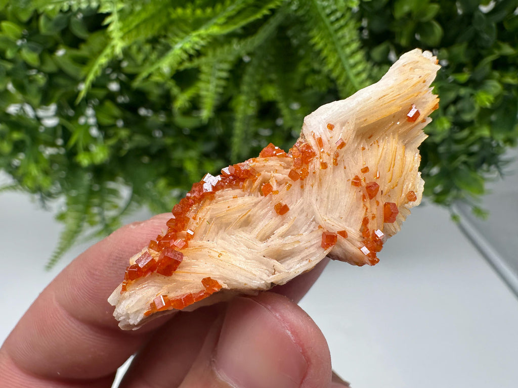 Red Vanadinite on Barite from Marocco,crystal minerals Speciment cluster Vanadinite crystal Vanadinite Geology Vanadinite cluster minerals