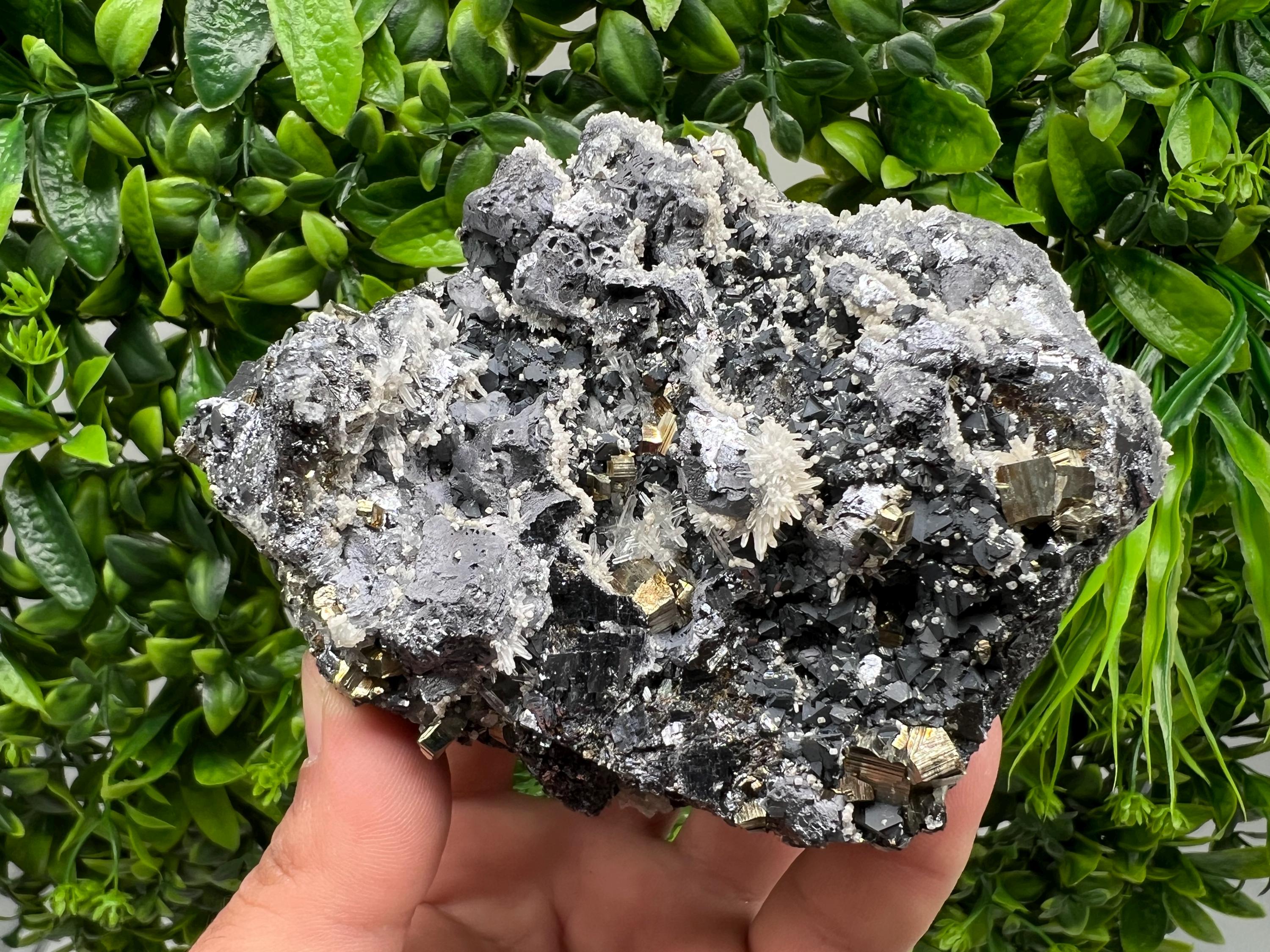 Galena Sphalerite Quartz Pyrite Mineral Specimen: Madan Bulgaria Rare Crystal