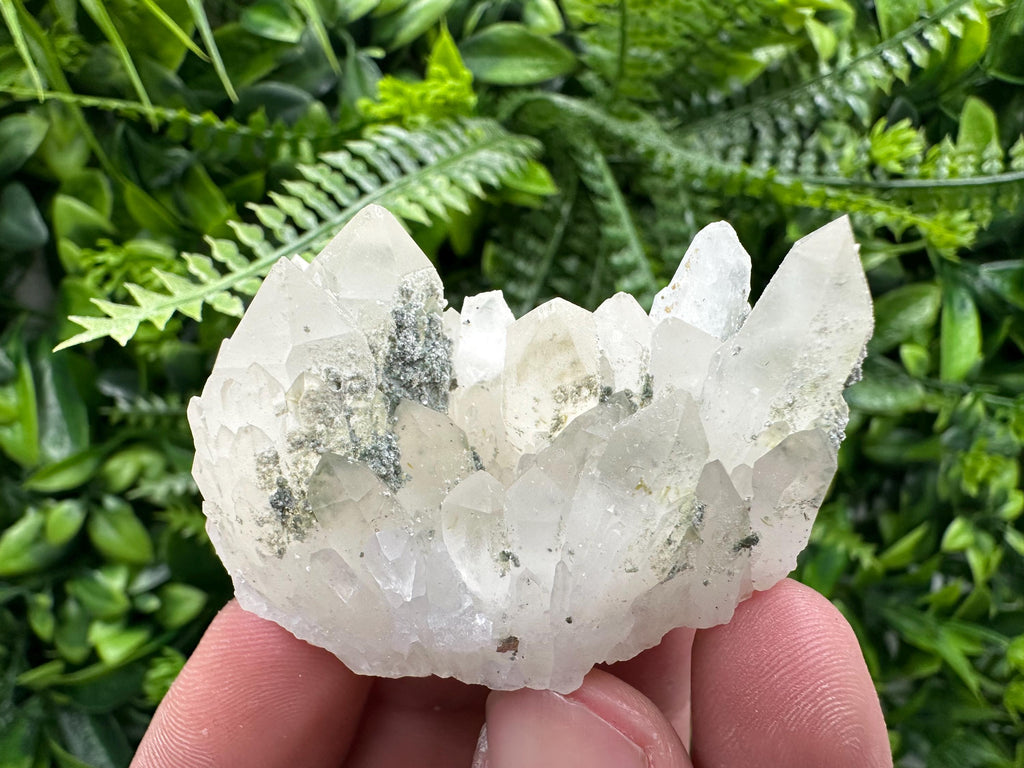 Limonite Quartz with Chlorite Inclusion: Djurcovo Laki Bulgaria Crystal