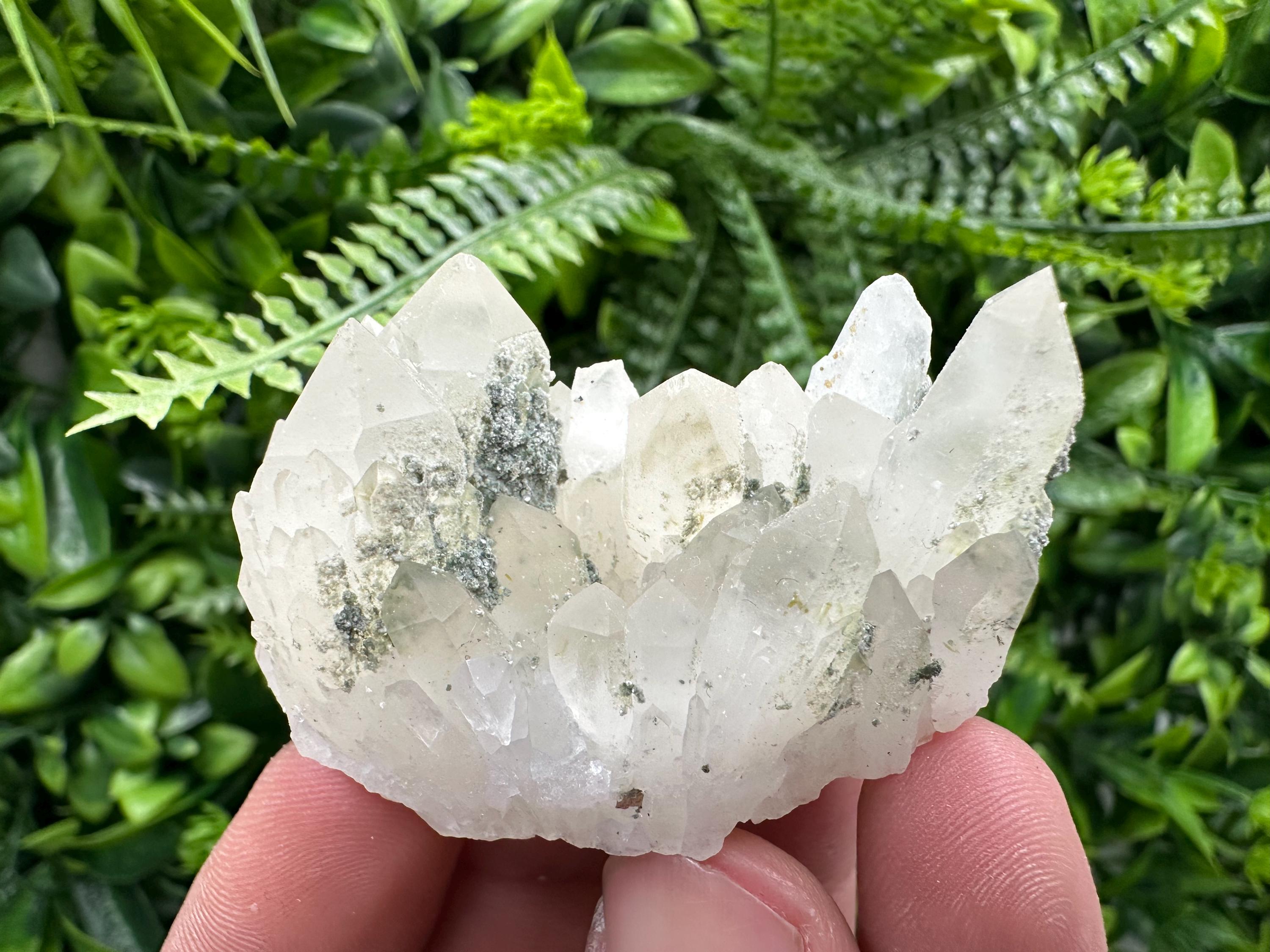 Limonite Quartz with Chlorite Inclusion: Djurcovo Laki Bulgaria Crystal