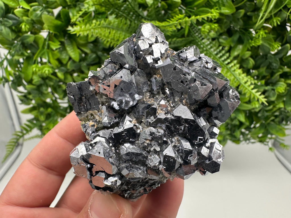 Galena with Quartz Specimen: Krushev Dol Mine, Bulgaria