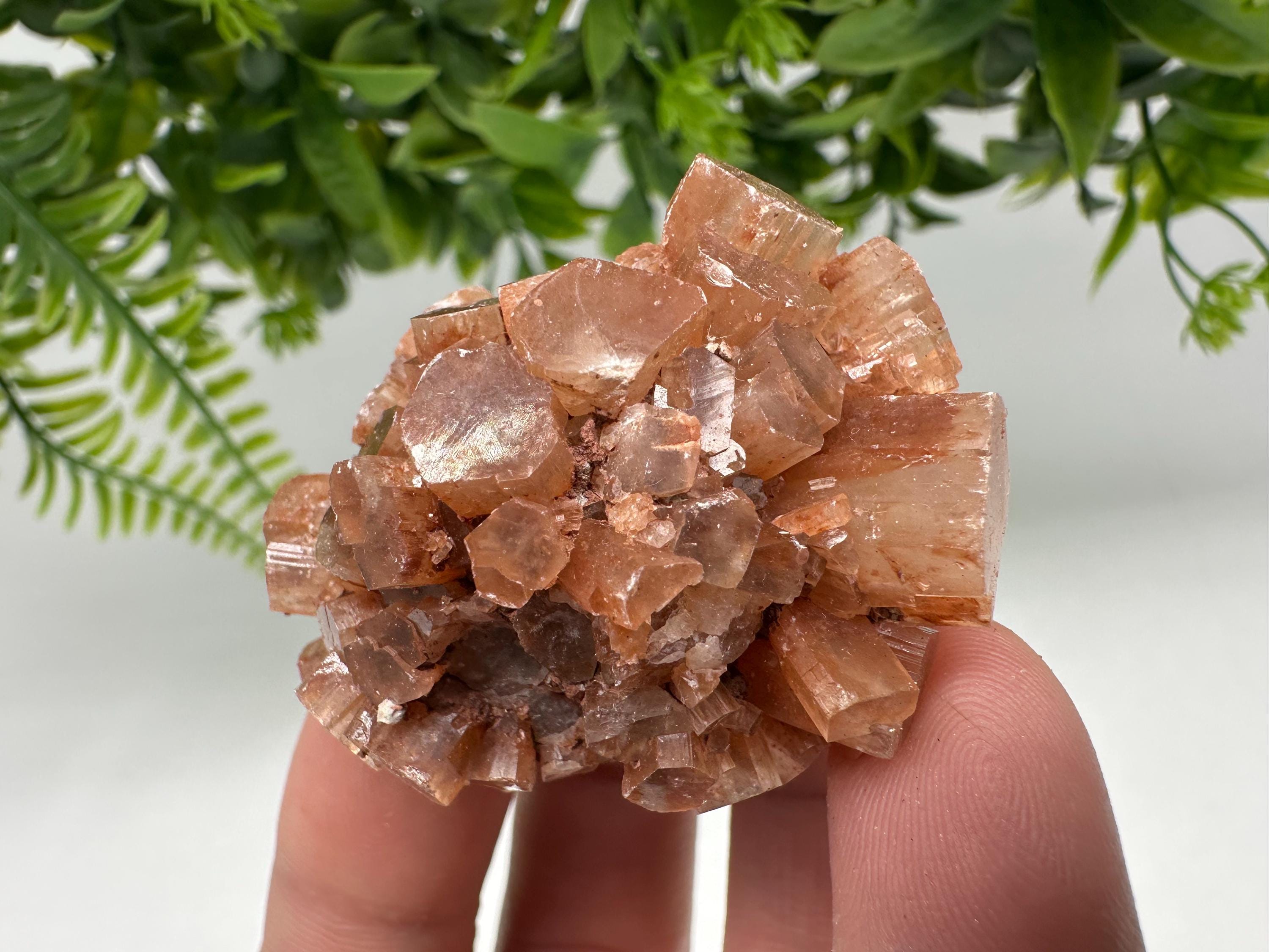 Aragonite Sputnik Cluster: Raw Moroccan Crystal Stone, Home Decor