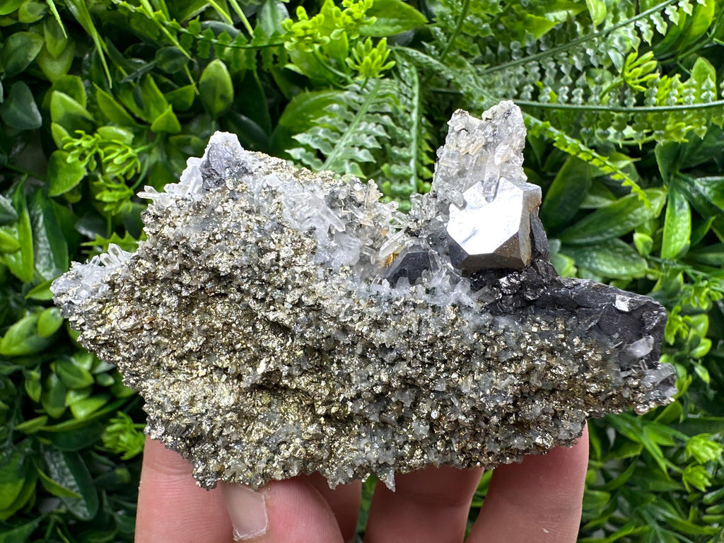 Galena with Quartz on Pyrite, Borieva Mine Mineral Specimen