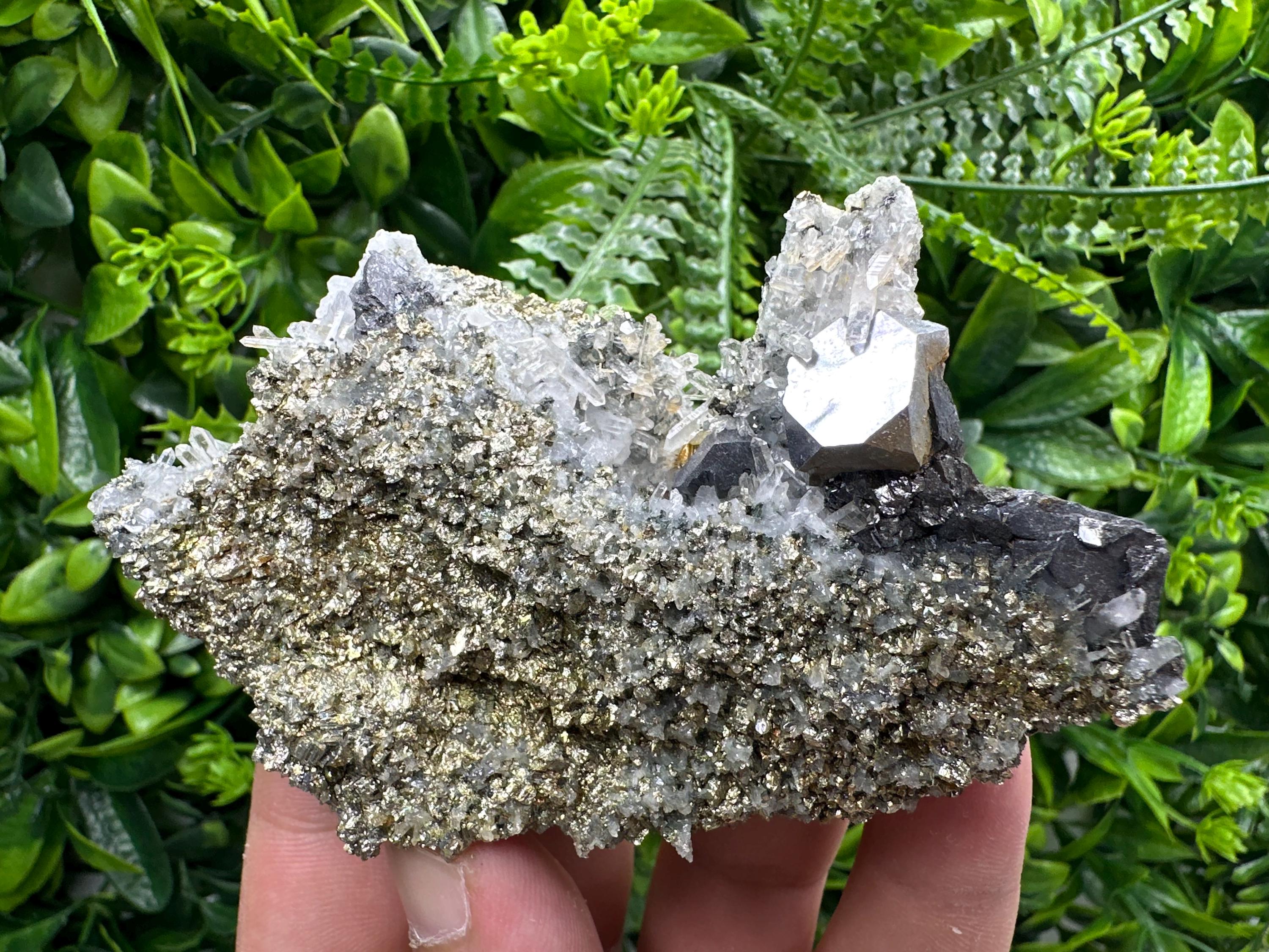 Galena with Quartz on Pyrite, Borieva Mine Mineral Specimen