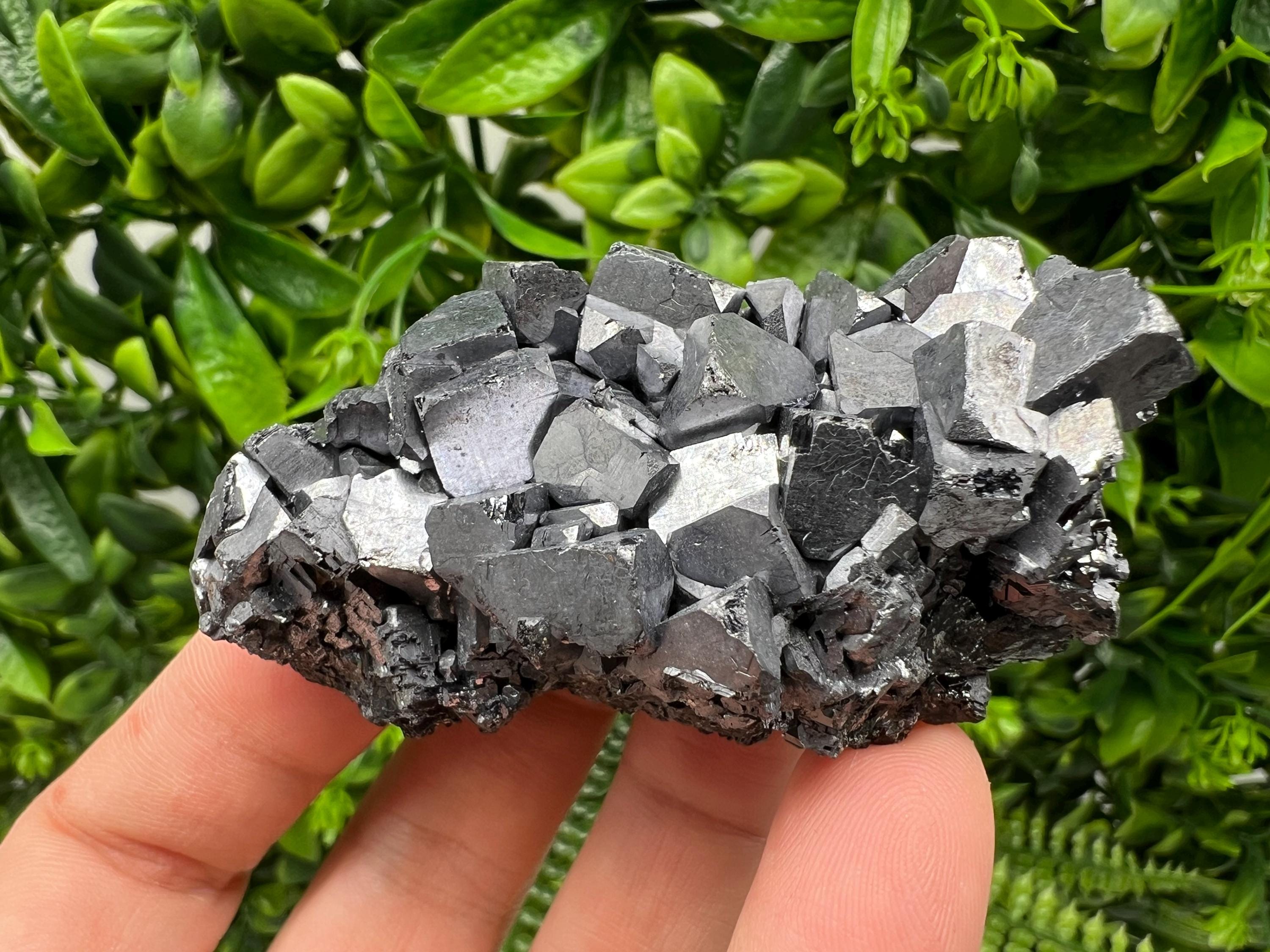Galena with Sphalerite Mineral Specimen, Borieva Mine, Bulgaria