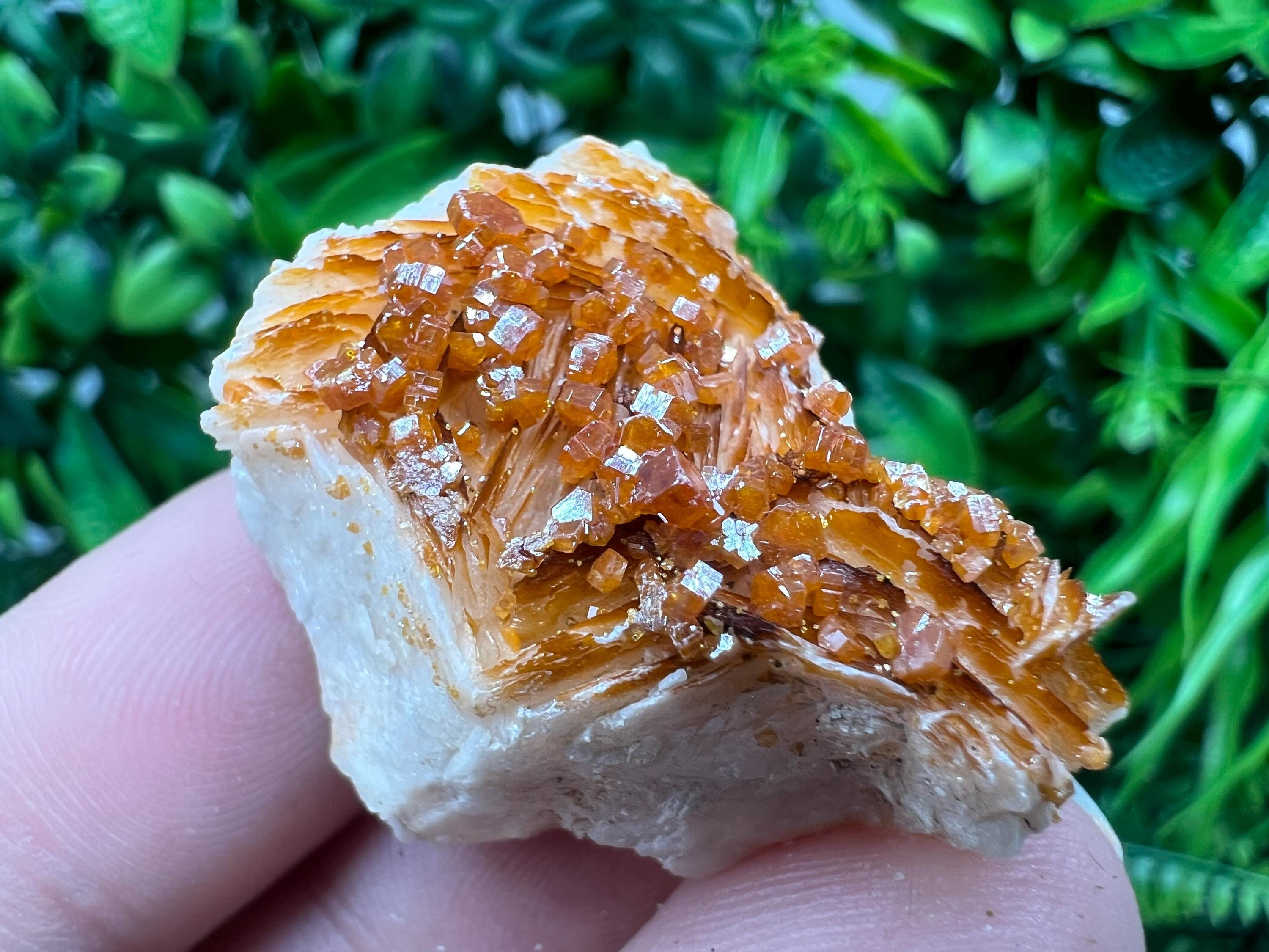Red Vanadinite on Barite from Marocco,crystal minerals Speciment cluster Vanadinite crystal Vanadinite Geology Vanadinite cluster minerals