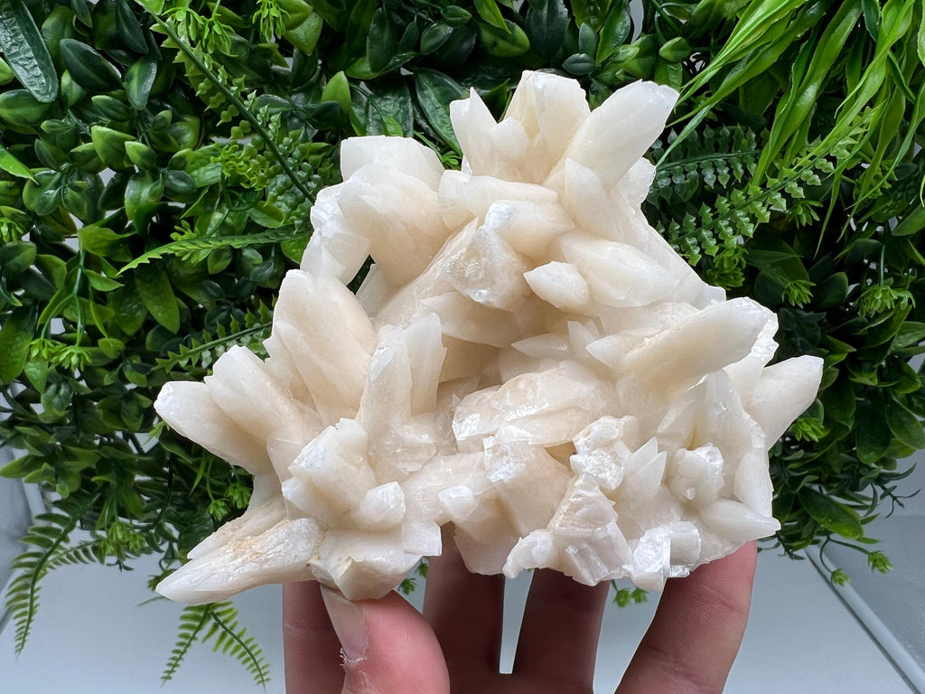 Calcite on Green Quartz: Djurcovo Mine, Bulgaria